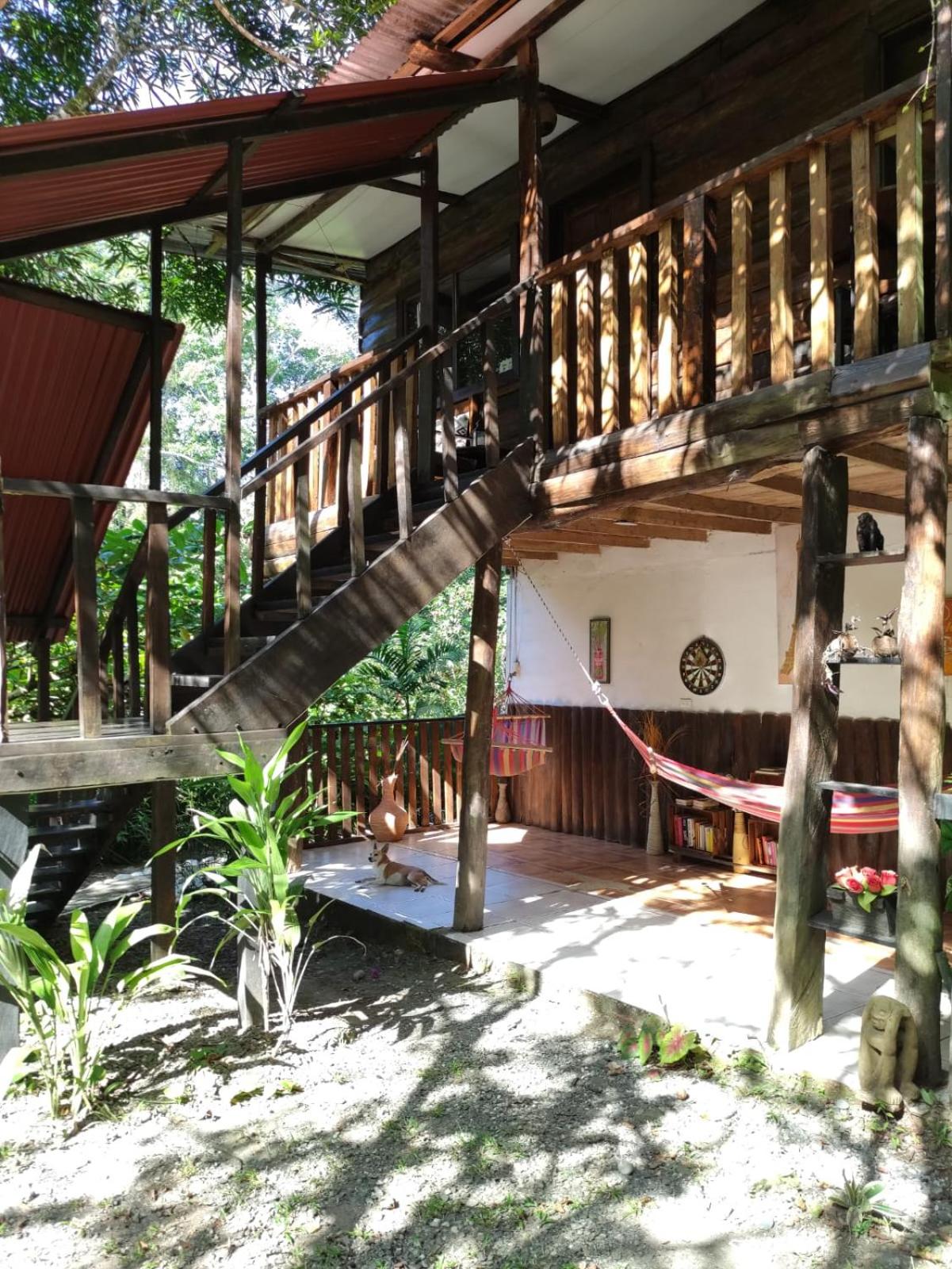 Papaya Wildlife Lodge
