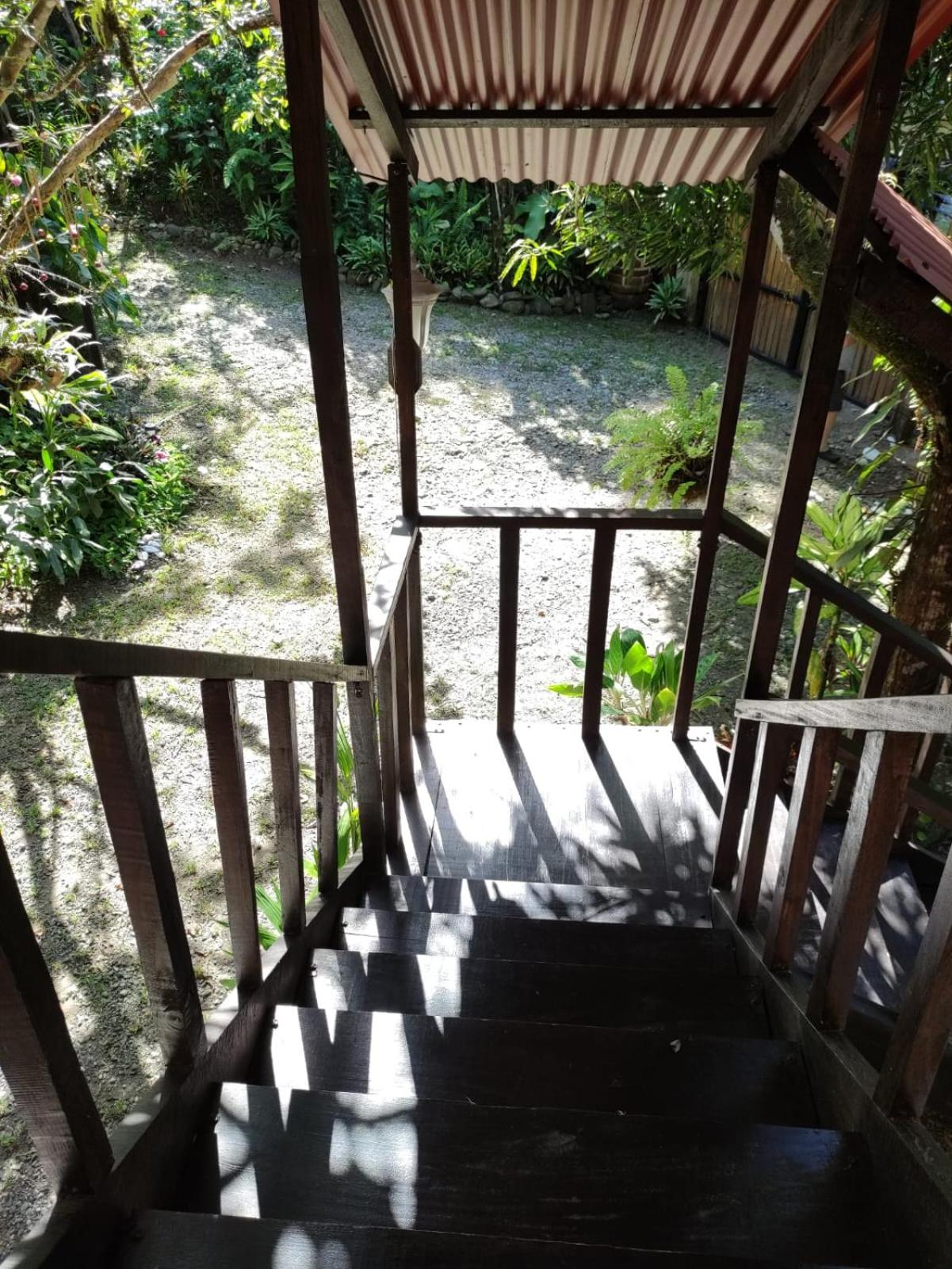 Papaya Wildlife Lodge