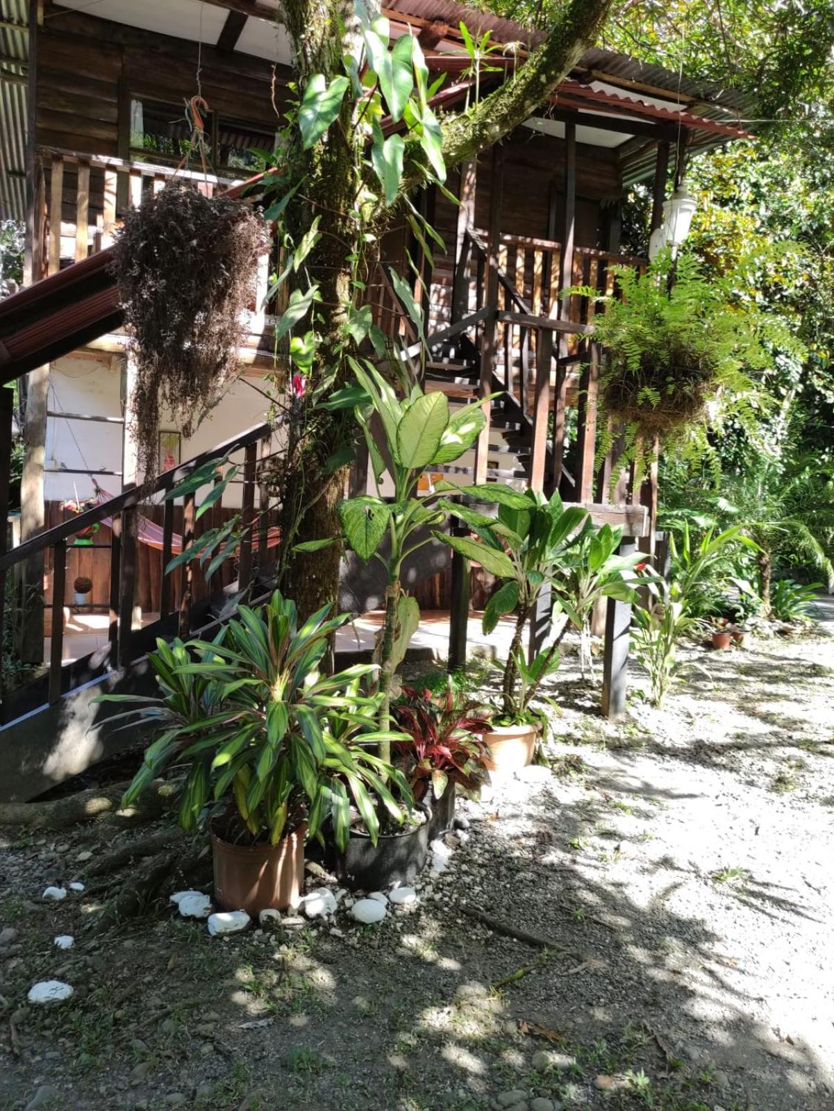 Papaya Wildlife Lodge