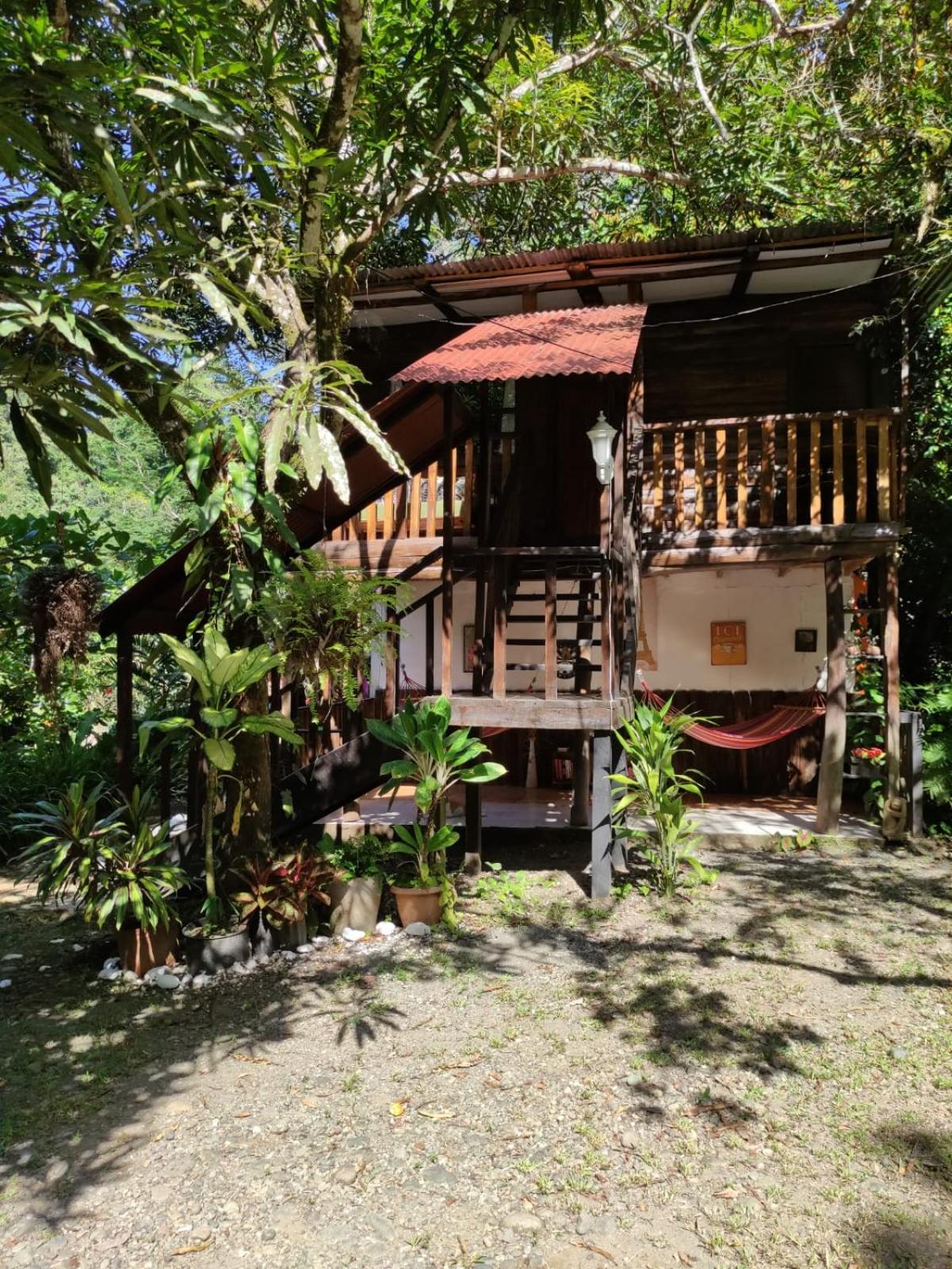 Papaya Wildlife Lodge