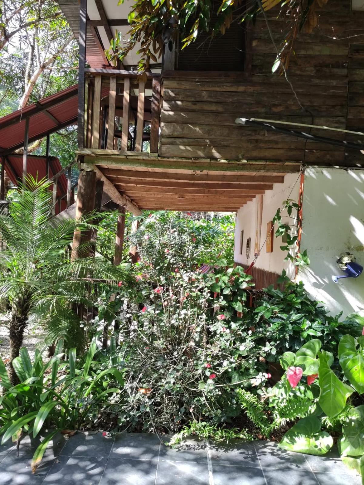 Papaya Wildlife Lodge