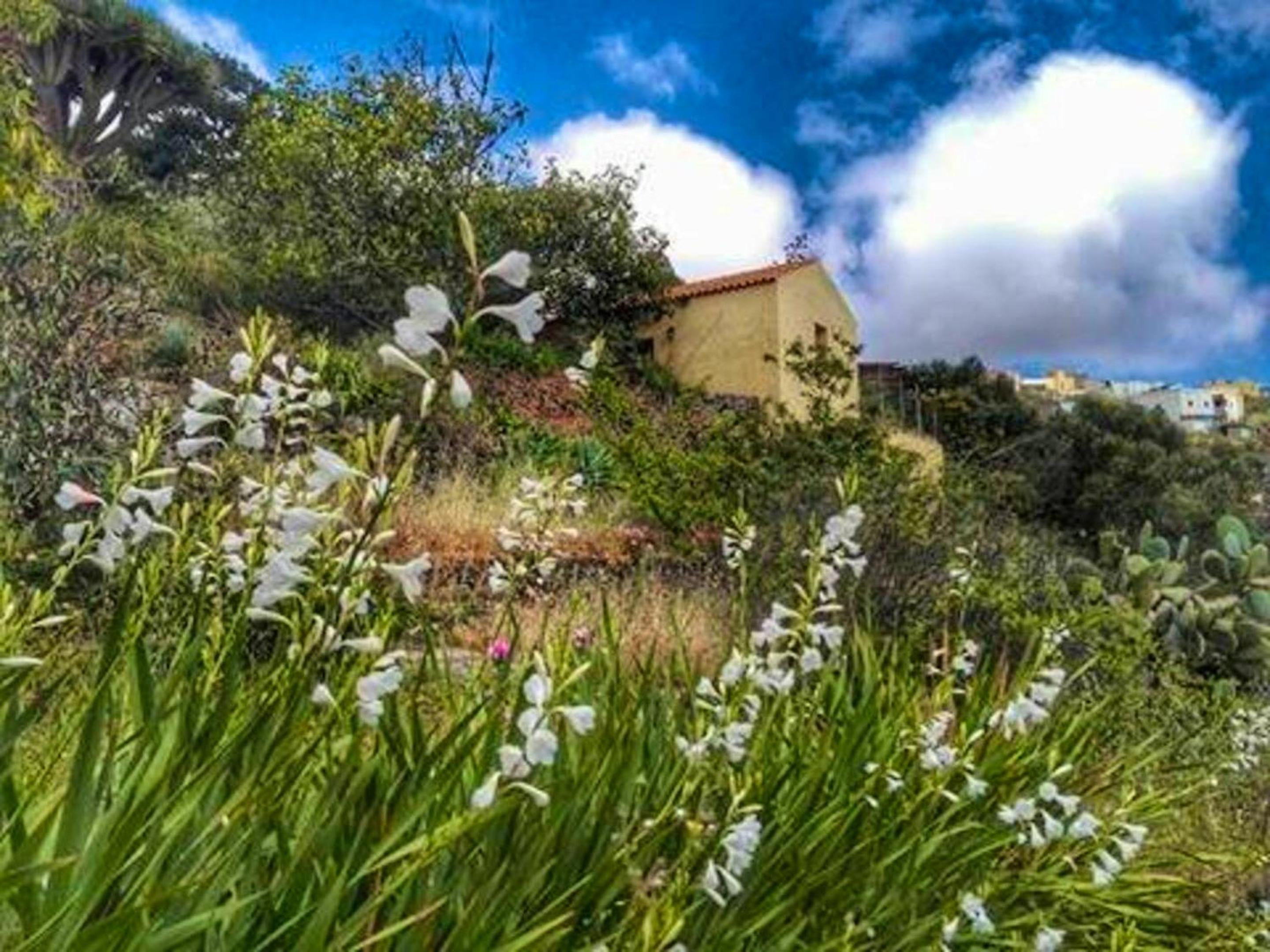 Charming Bungalow in Carreteria with Terrace and Parking
