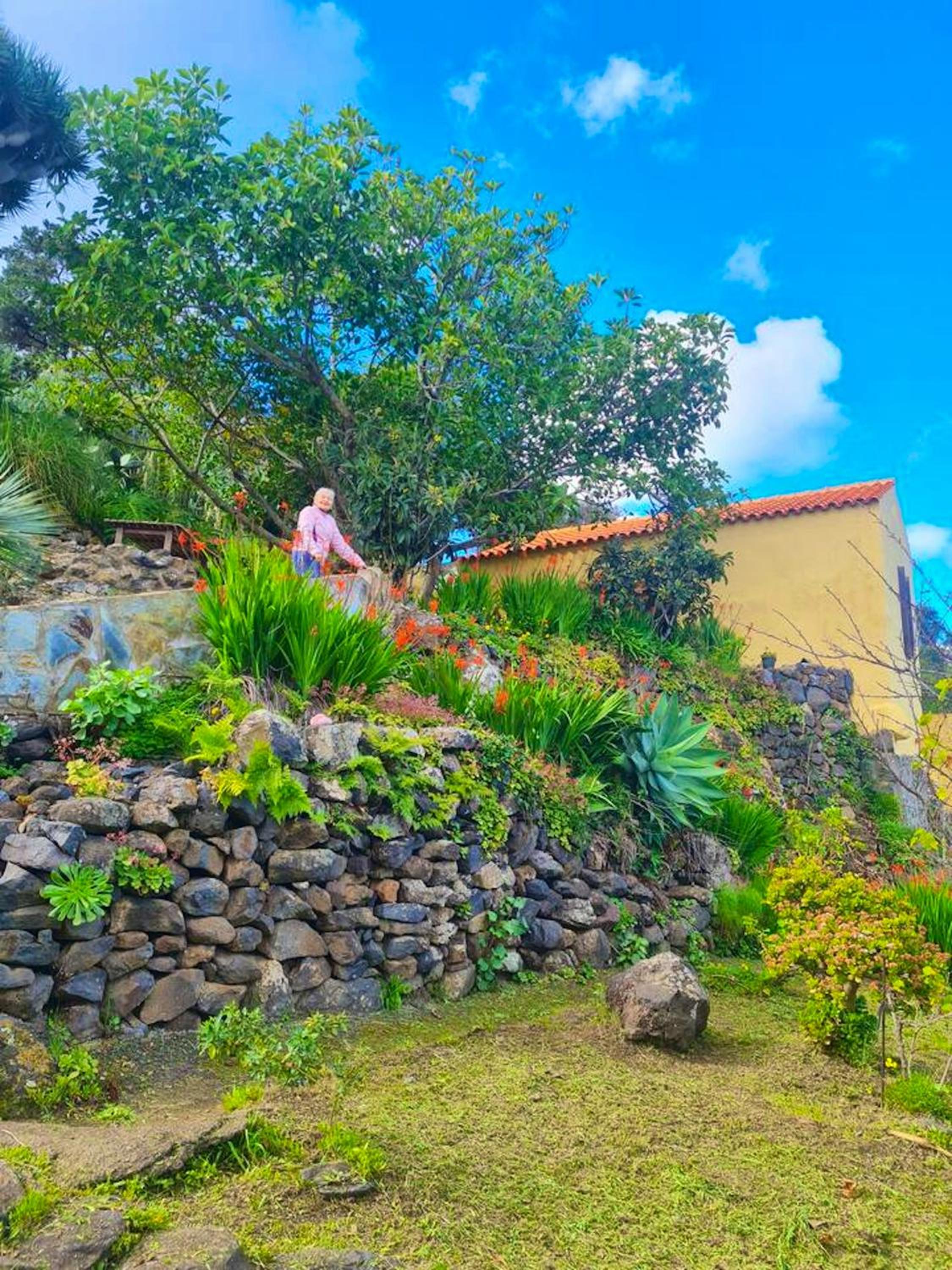 Charming Bungalow in Carreteria with Terrace and Parking