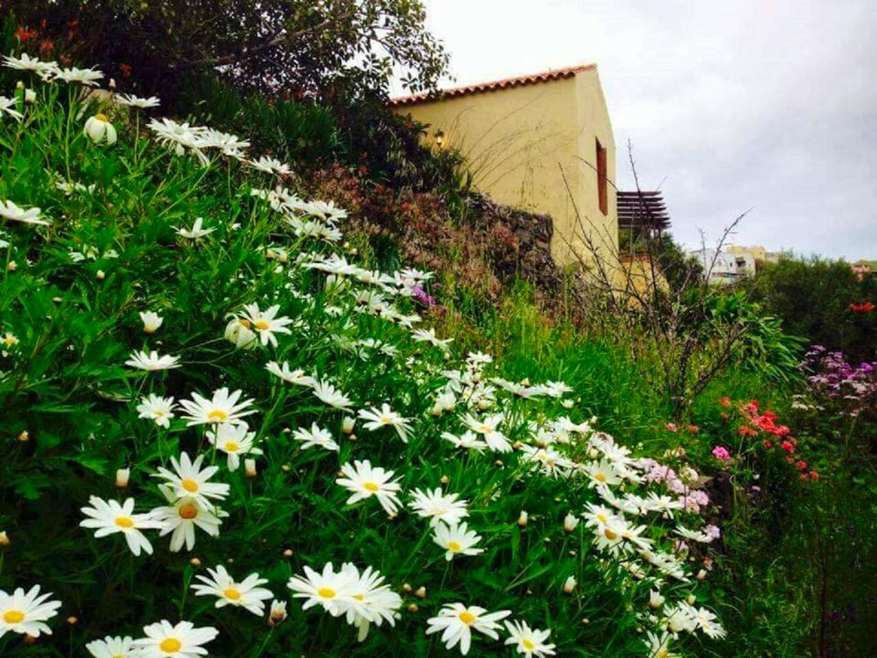 Charming Bungalow in Carreteria with Terrace and Parking