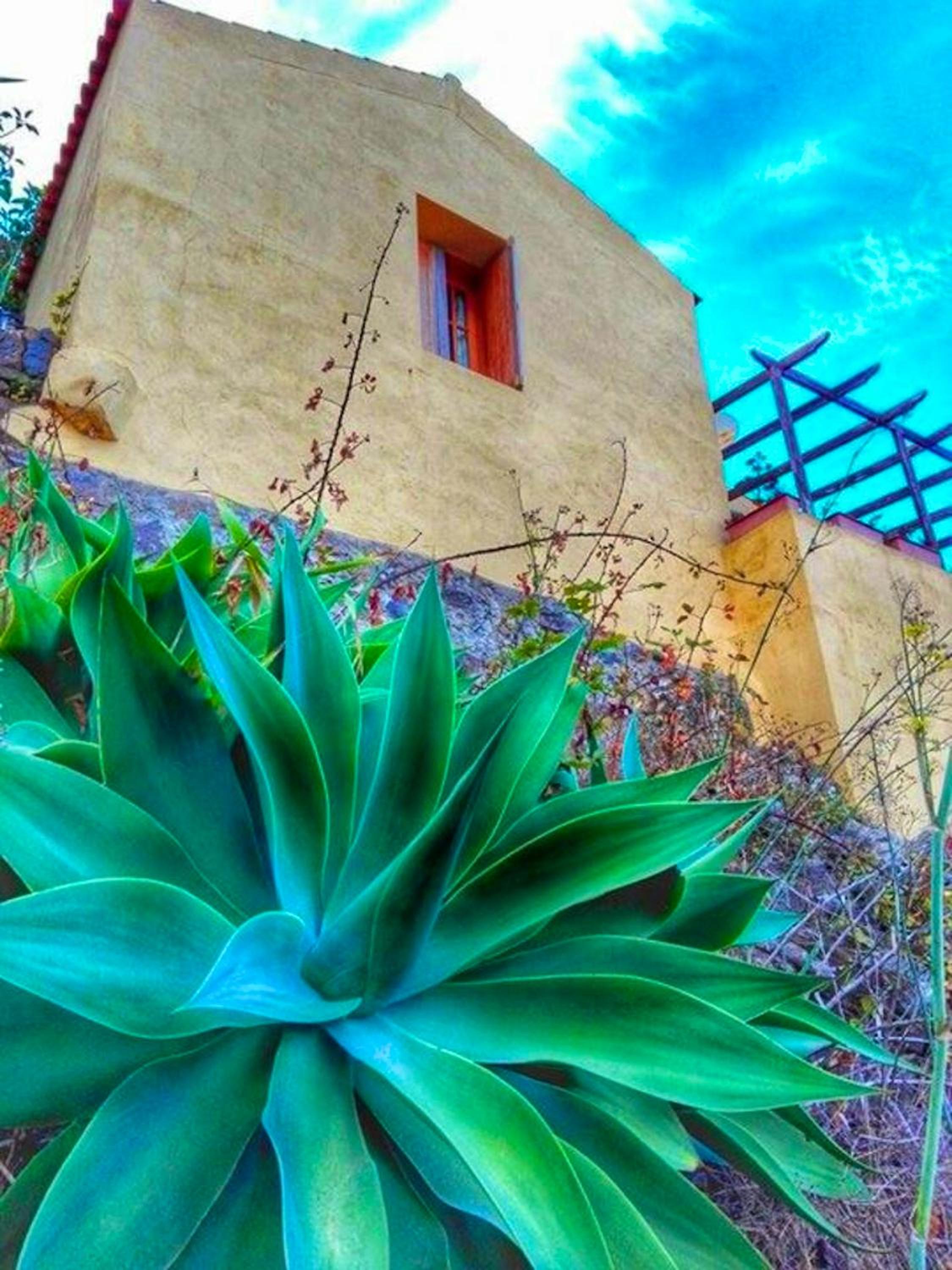 Charming Bungalow in Carreteria with Terrace and Parking