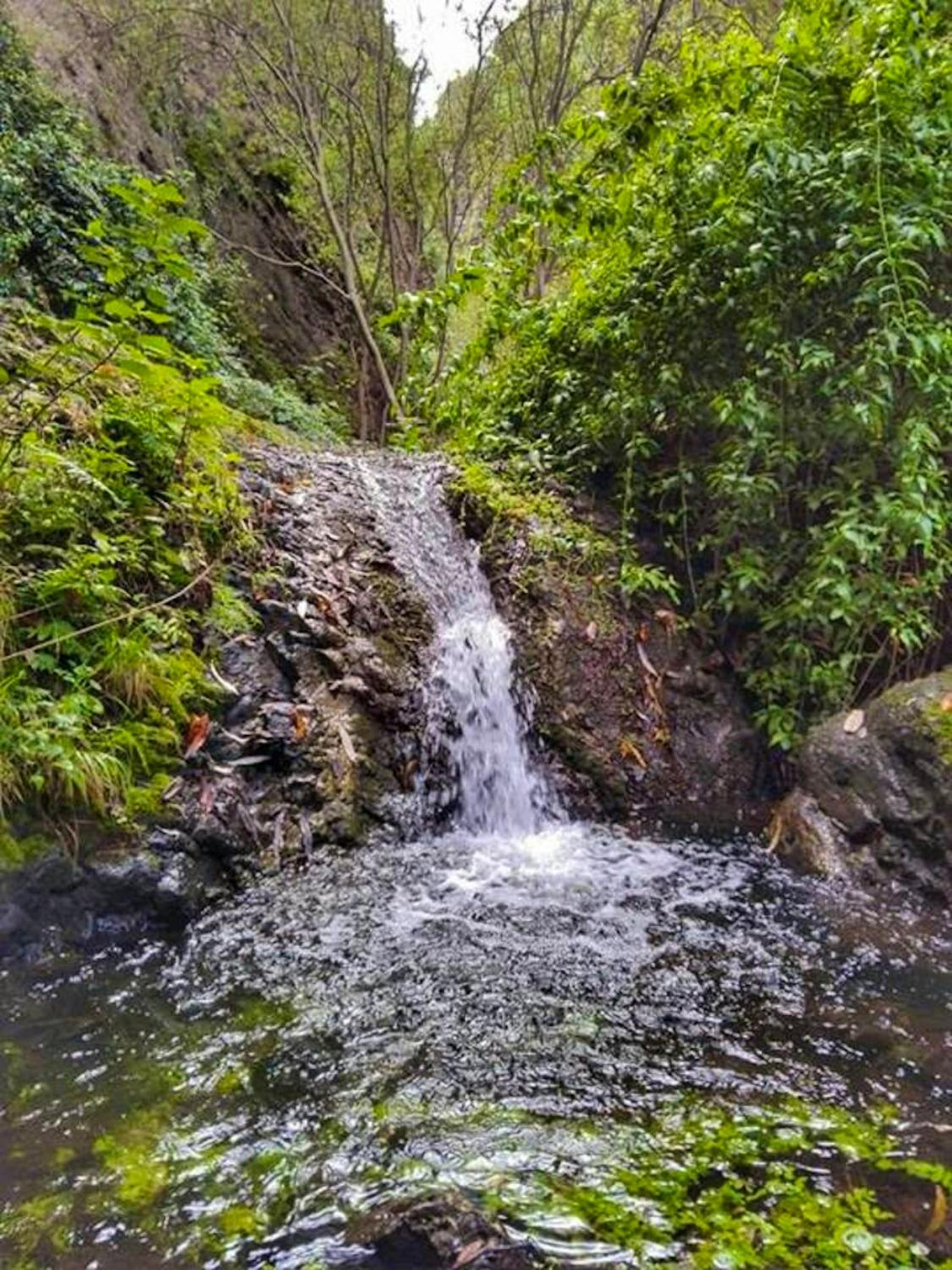 Charming Bungalow in Carreteria with Terrace and Parking