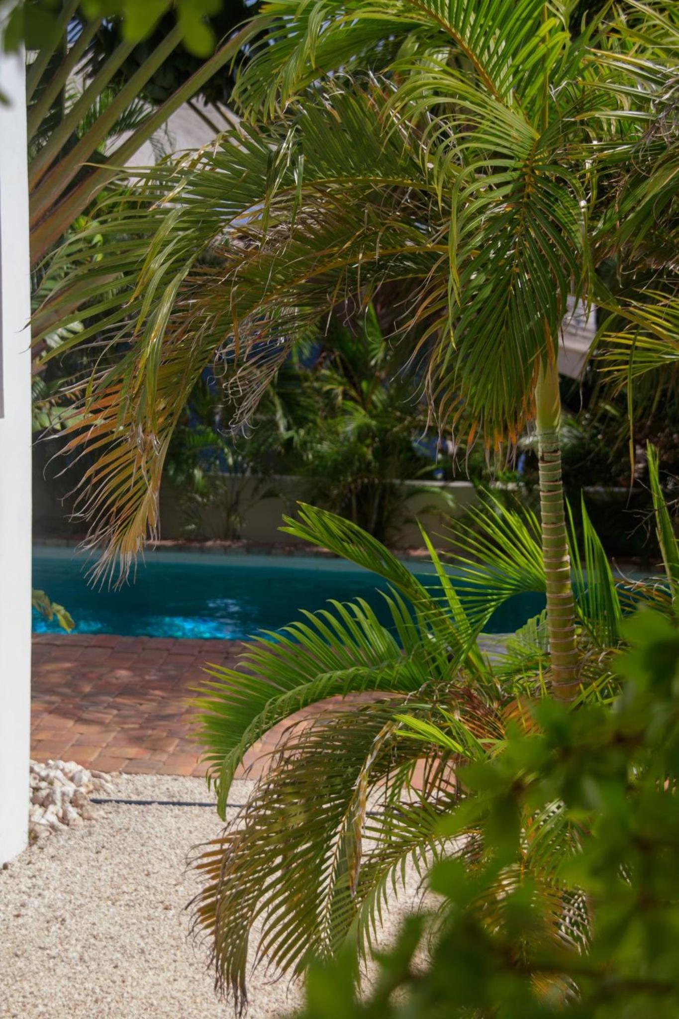 MAJOR. Suites Curaçao