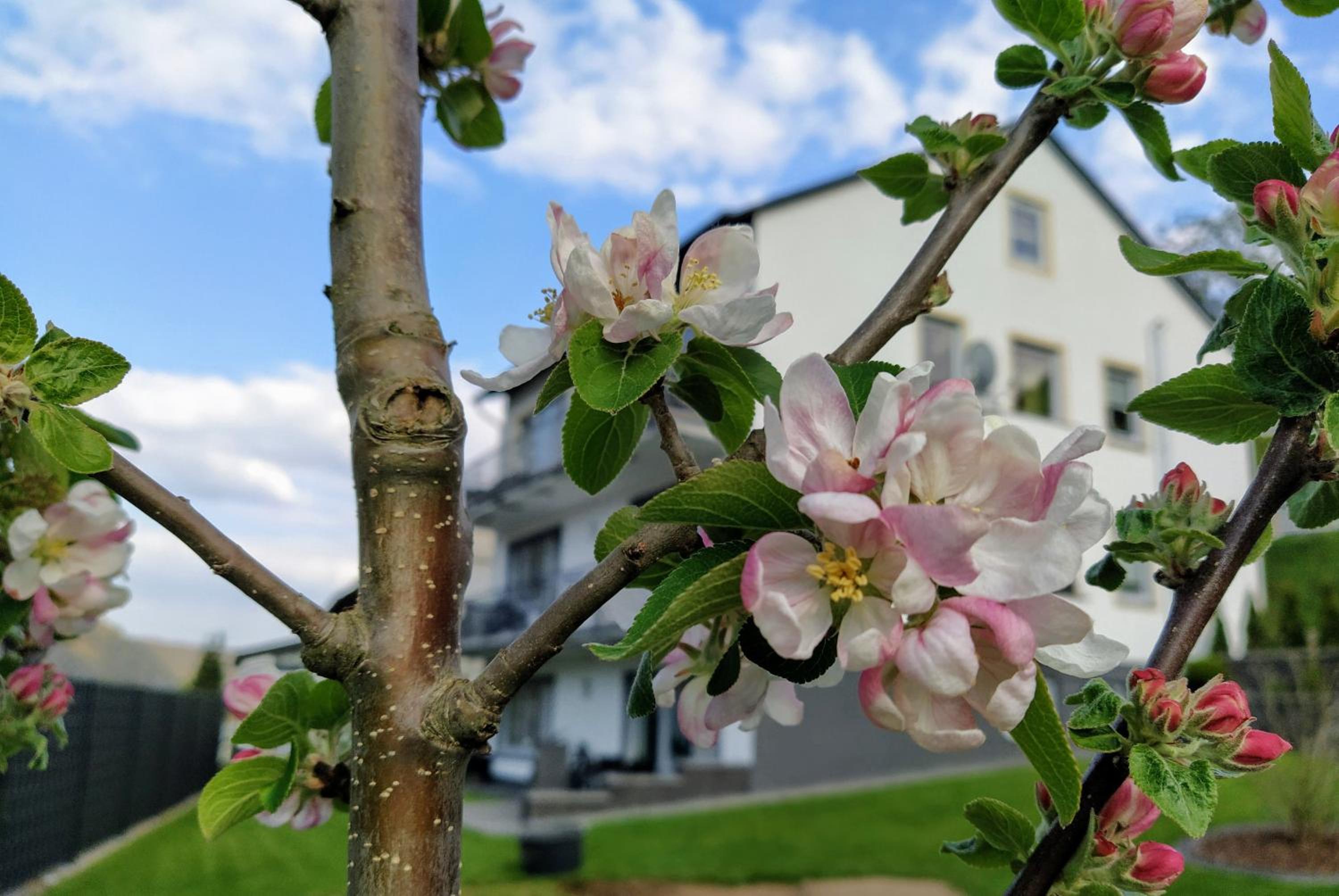 Kleine Auszeit