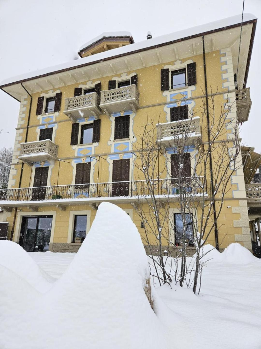 MAISON IDA