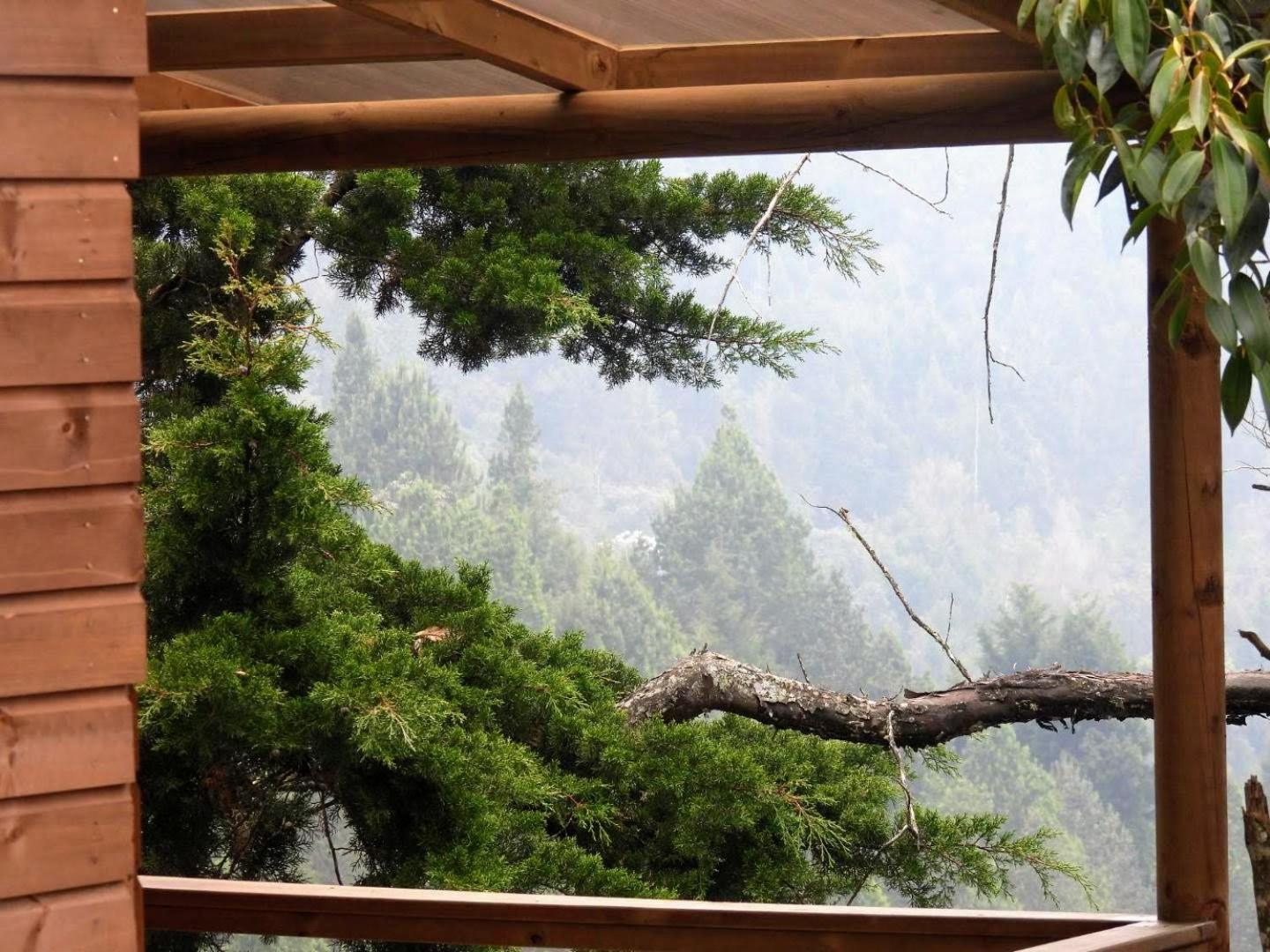 Ecoverso Cabañas del bosque