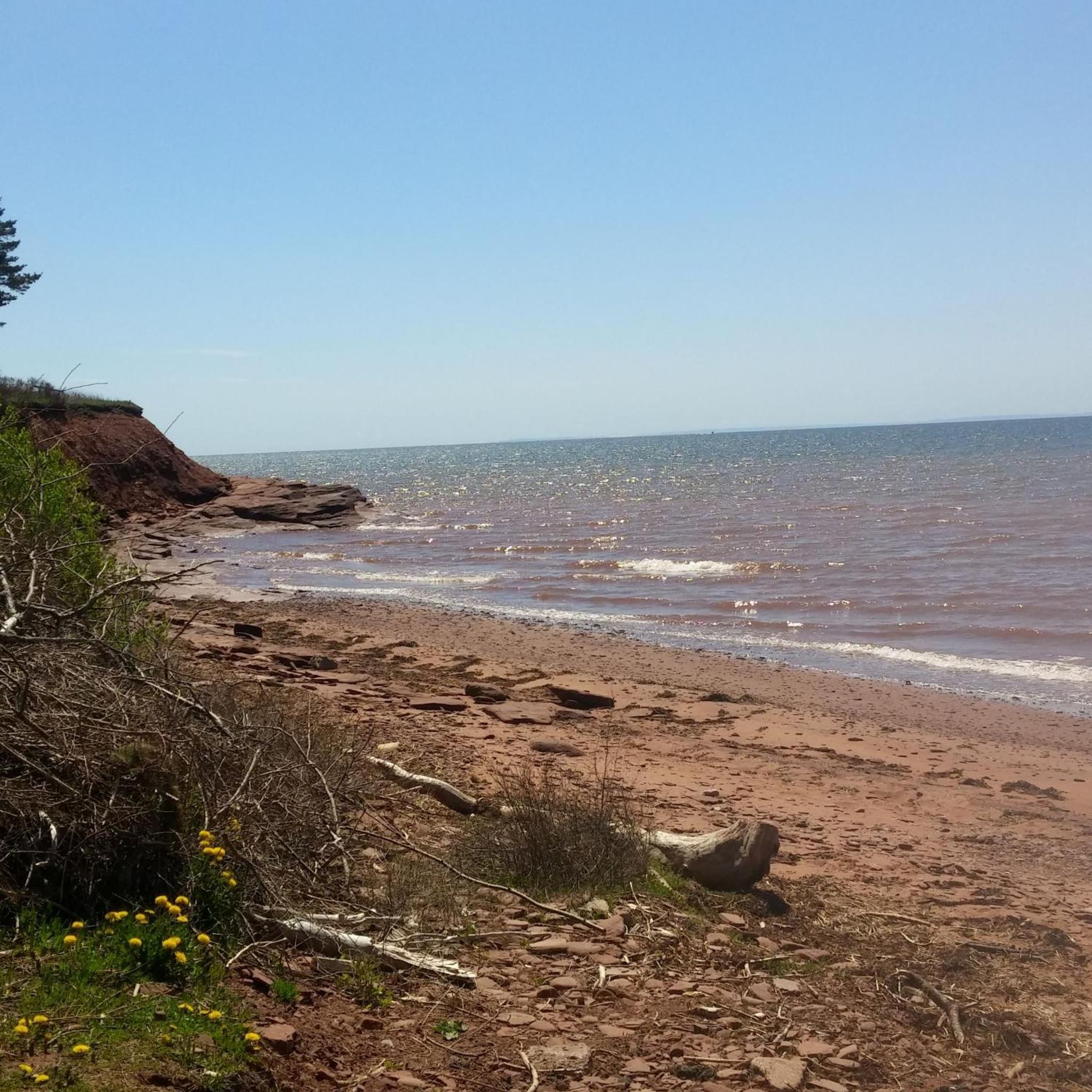 Little Eden Summer Beach Home