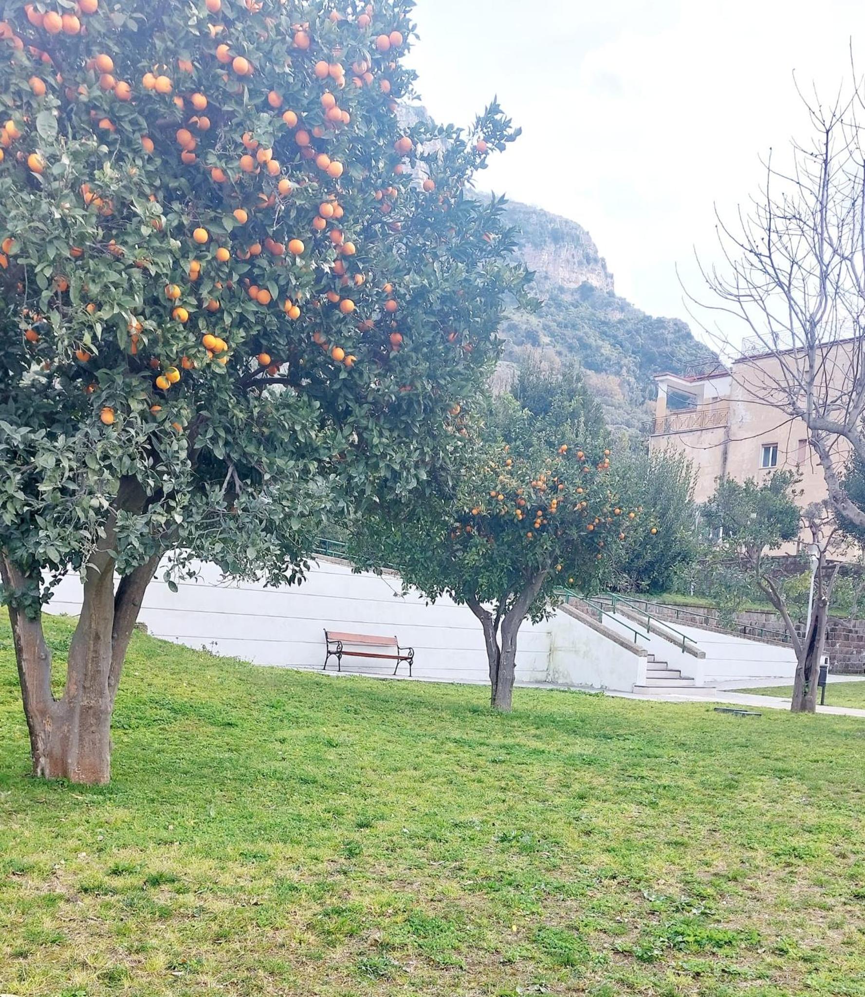 Butterfly Appartamento photo 4