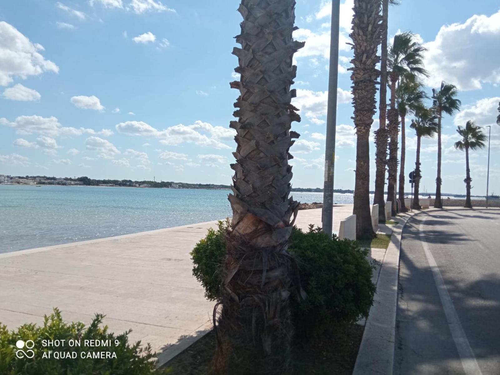 SCIROCCO by SALENTO OASIS