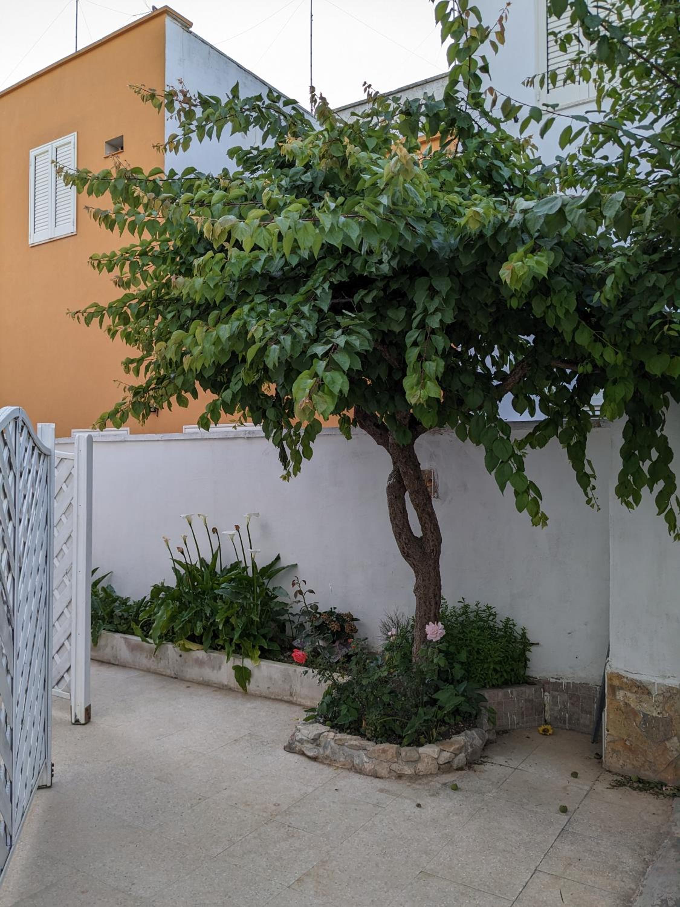 SCIROCCO by SALENTO OASIS