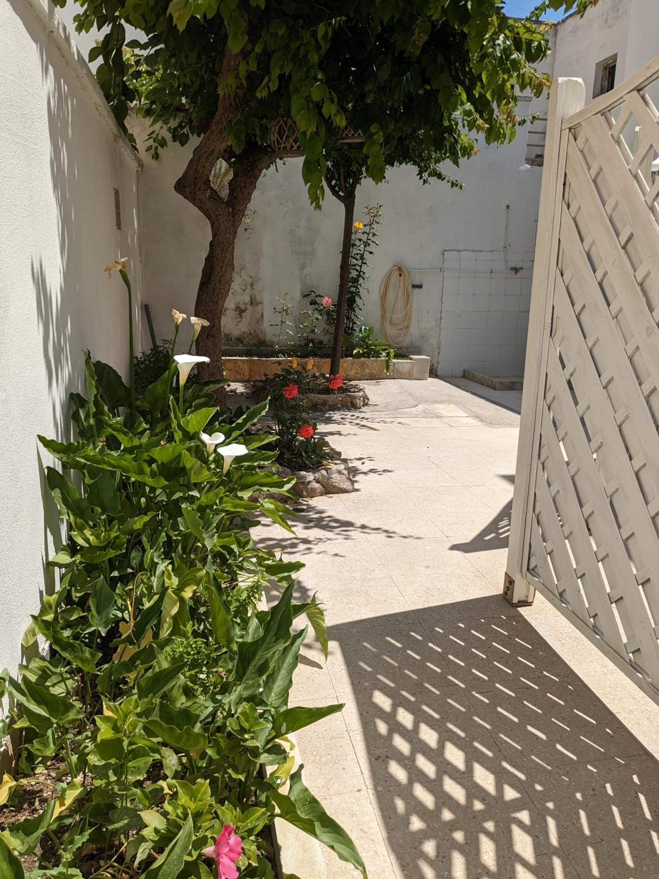 SCIROCCO by SALENTO OASIS