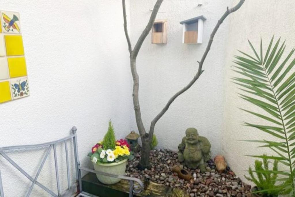 Photo 38