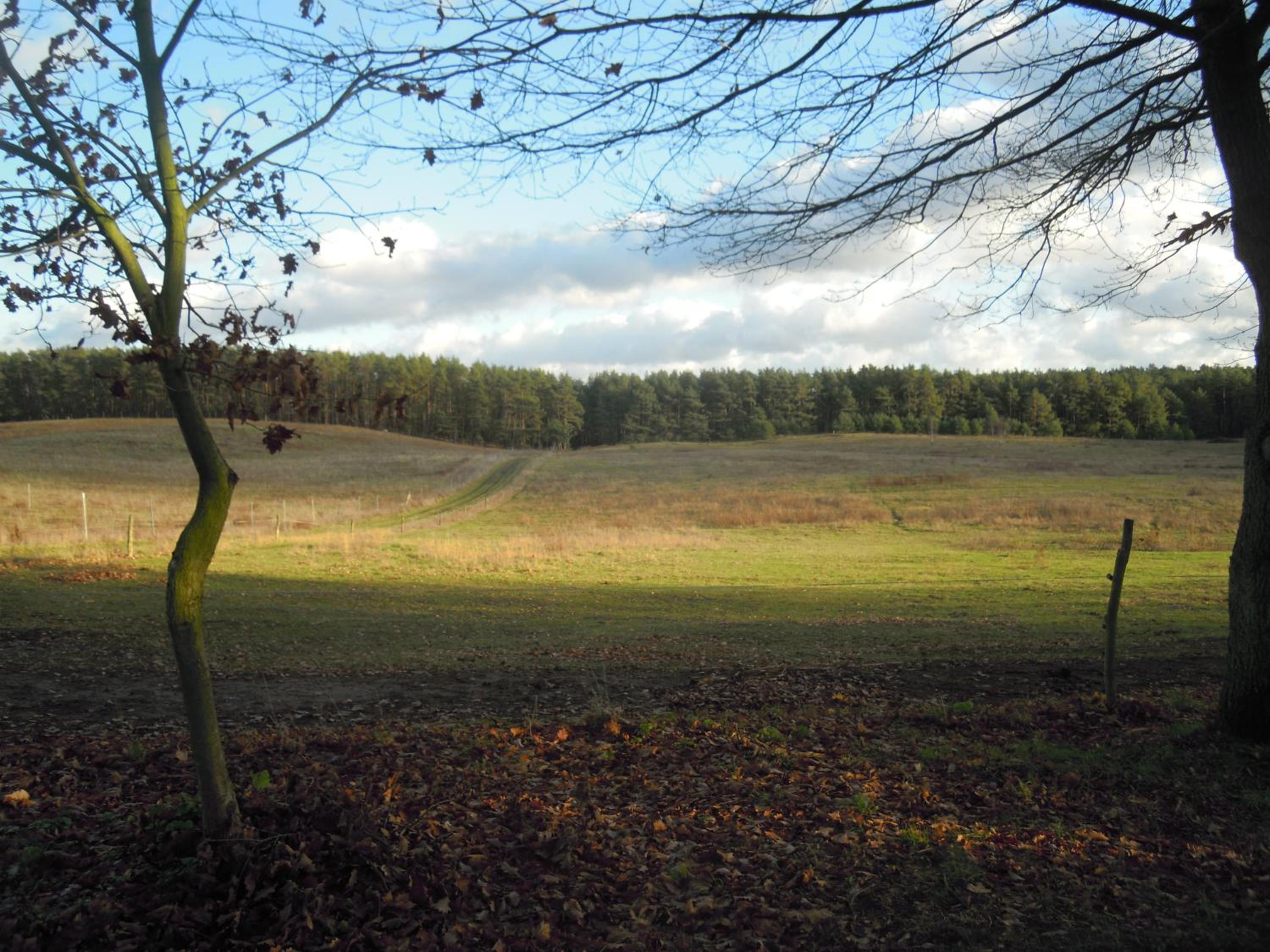 Kleine Ferienoase am Plauer See
