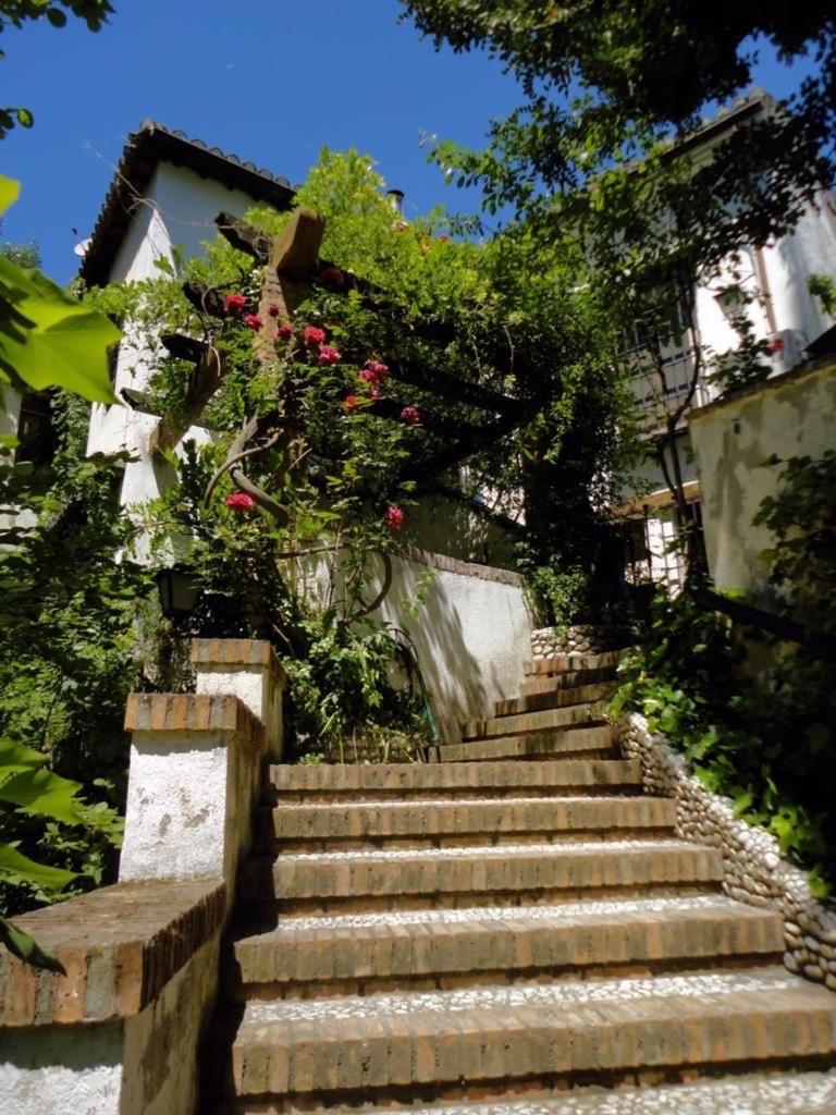 Carmen Santa Rosa