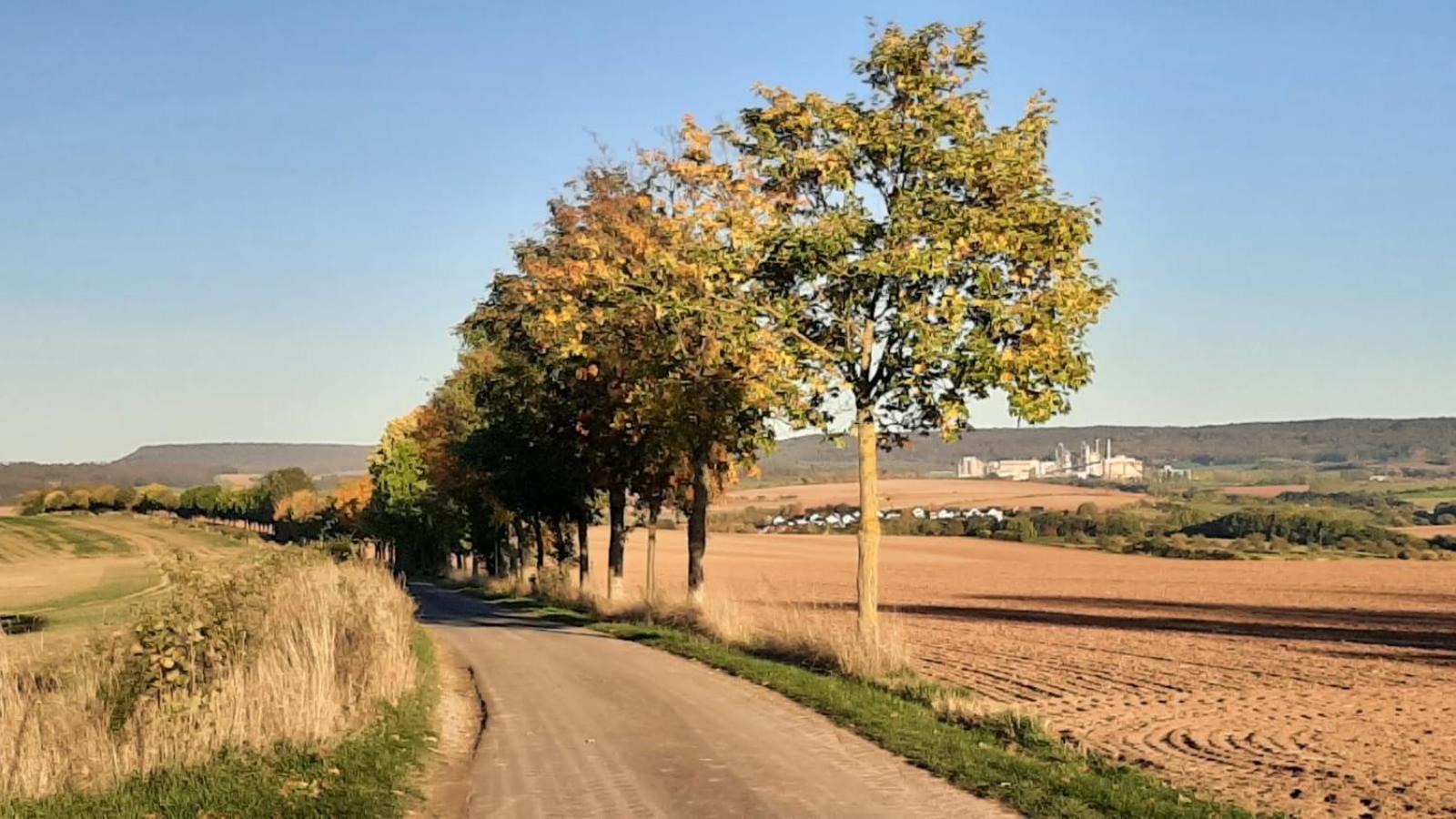 Stilvolle Ferienwohnung im Eichsfeld
