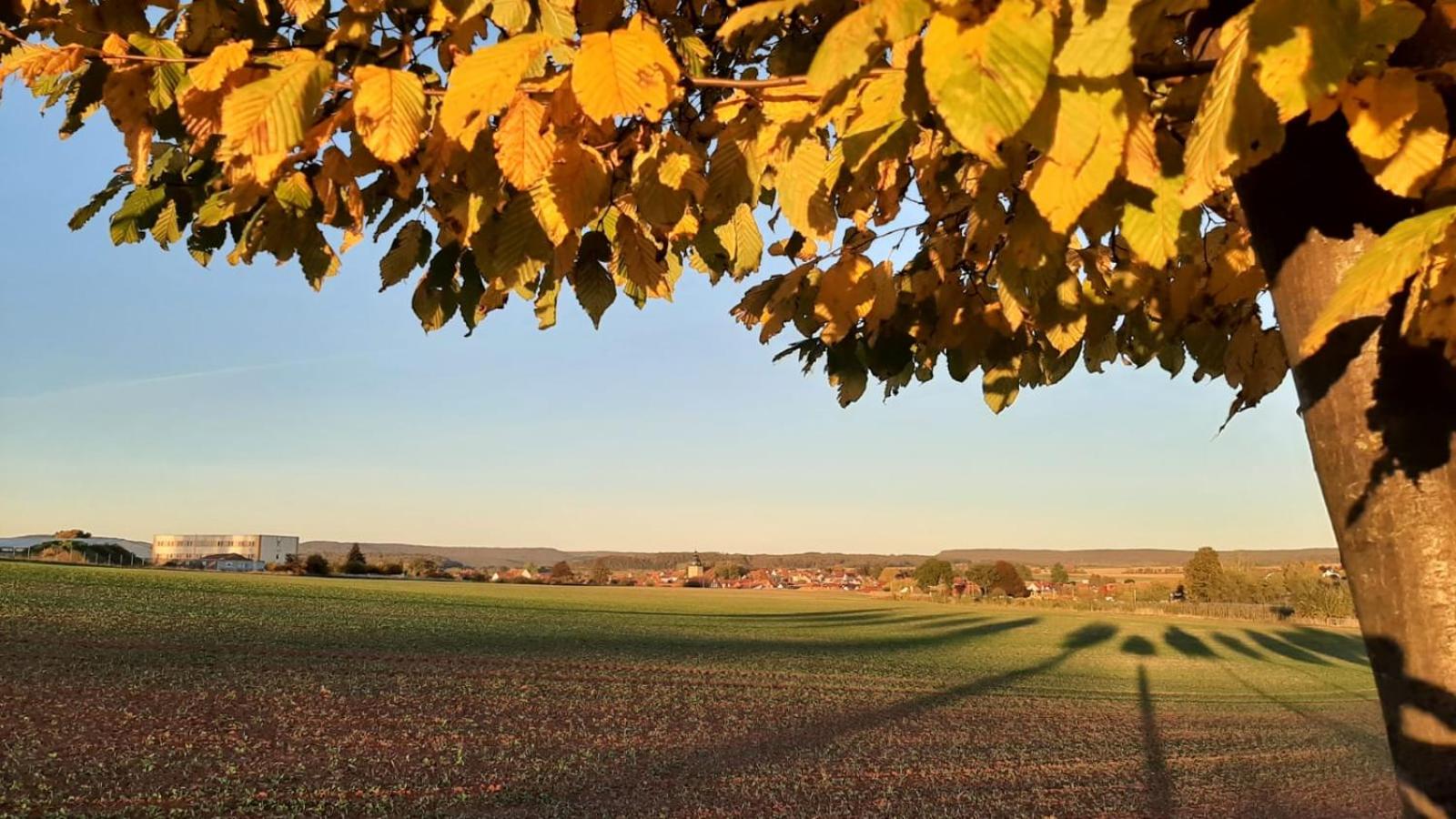 Stilvolle Ferienwohnung im Eichsfeld