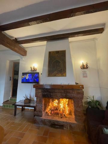 Photo 21