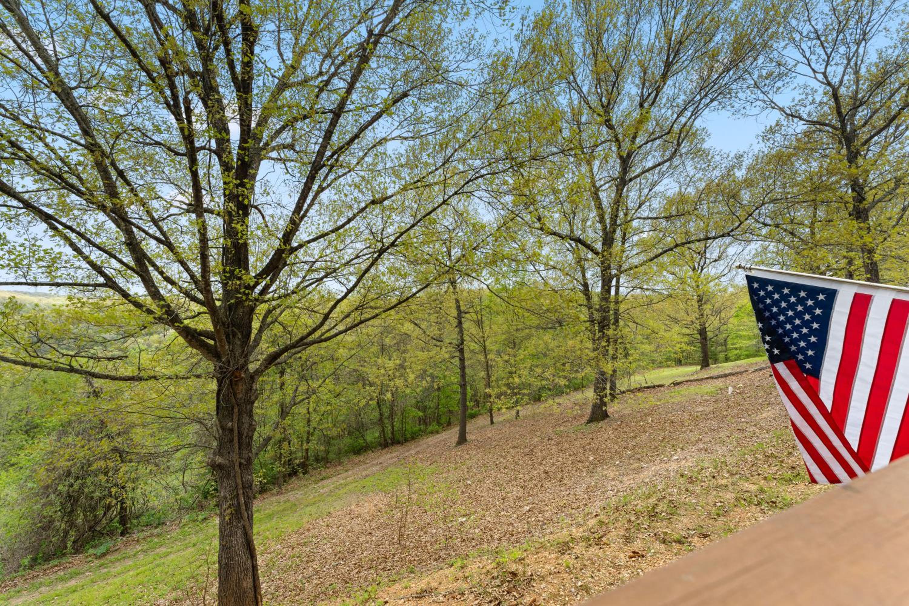 Free Daily Silver Dollar City Tickets  other Branson attractions! Cozy Branson Condo, Lower level, WALK-IN - Property Image 17