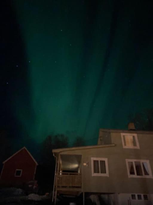 Arctic Cabin Lyngen