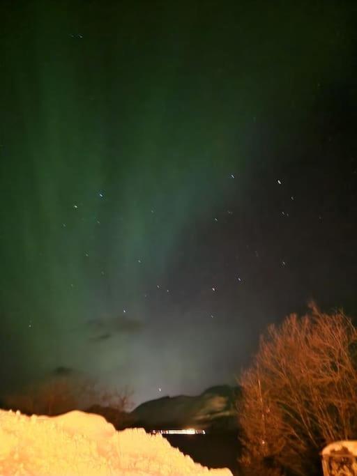 Arctic Cabin Lyngen