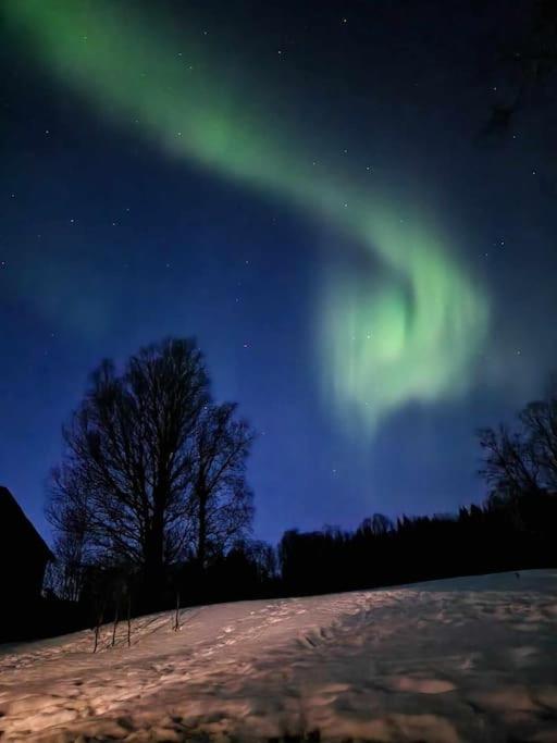 Arctic Cabin Lyngen