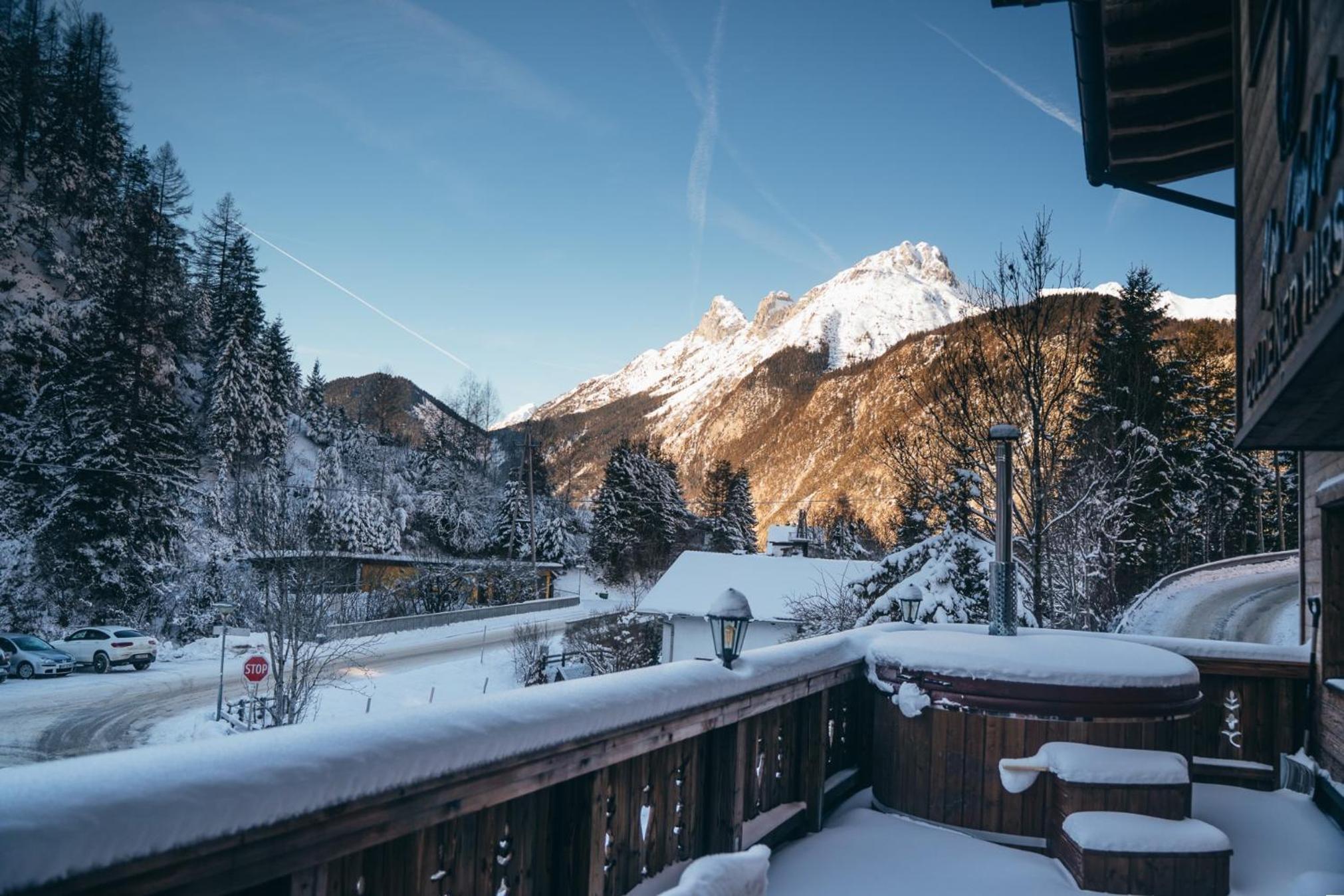 Alpe Chalets Goldener Hirsch view 3
