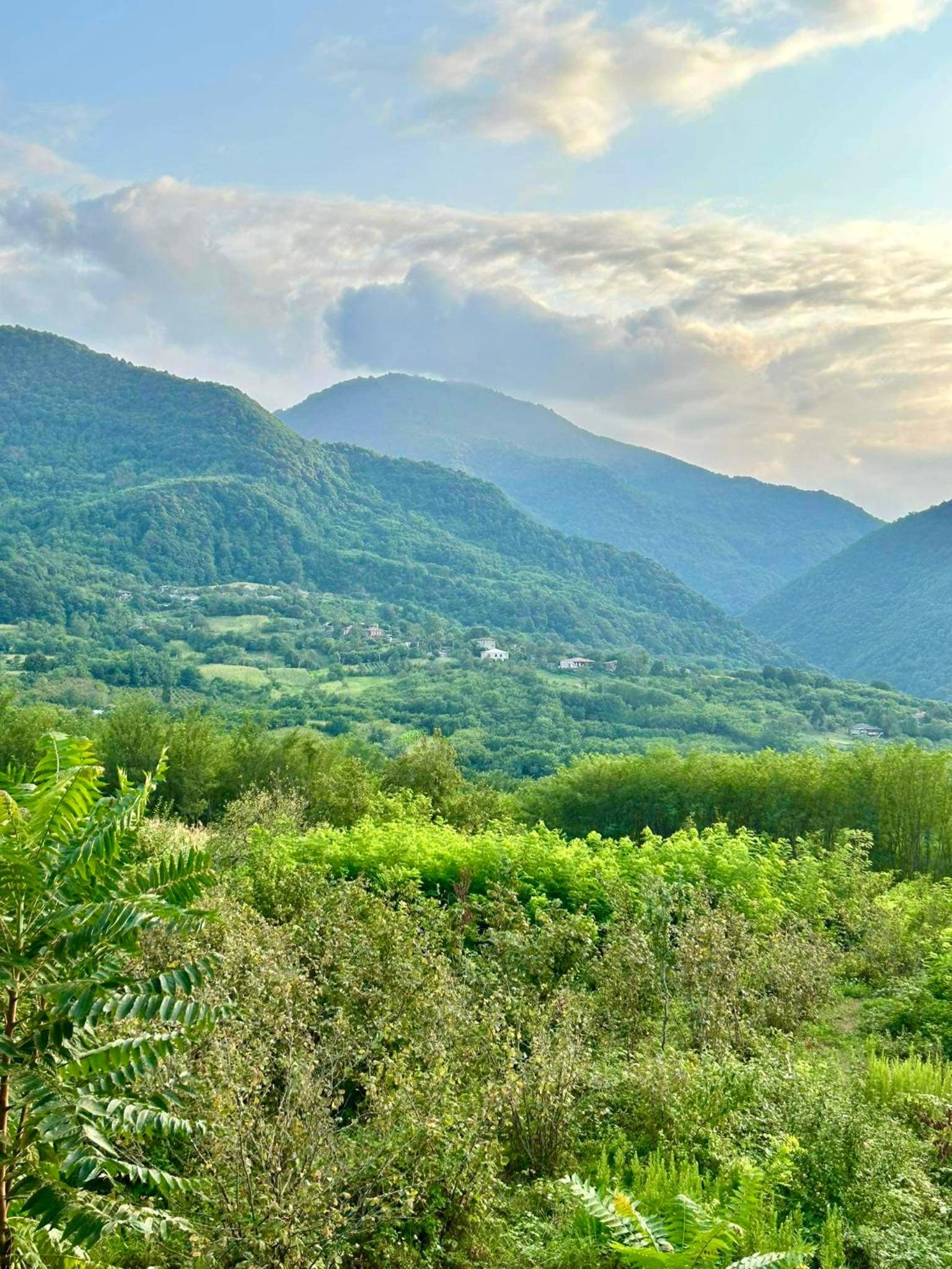 other