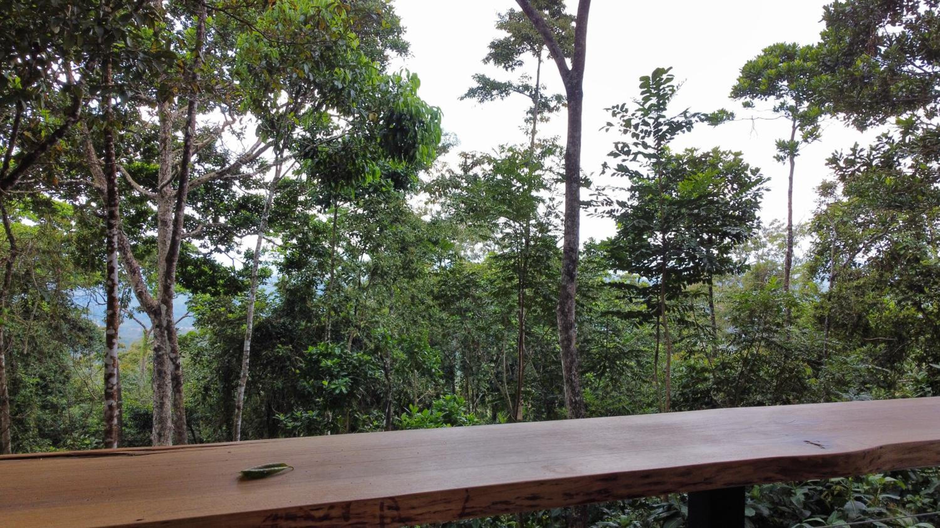 Pandanus Lodge & Retreats Bungalow Gingiber