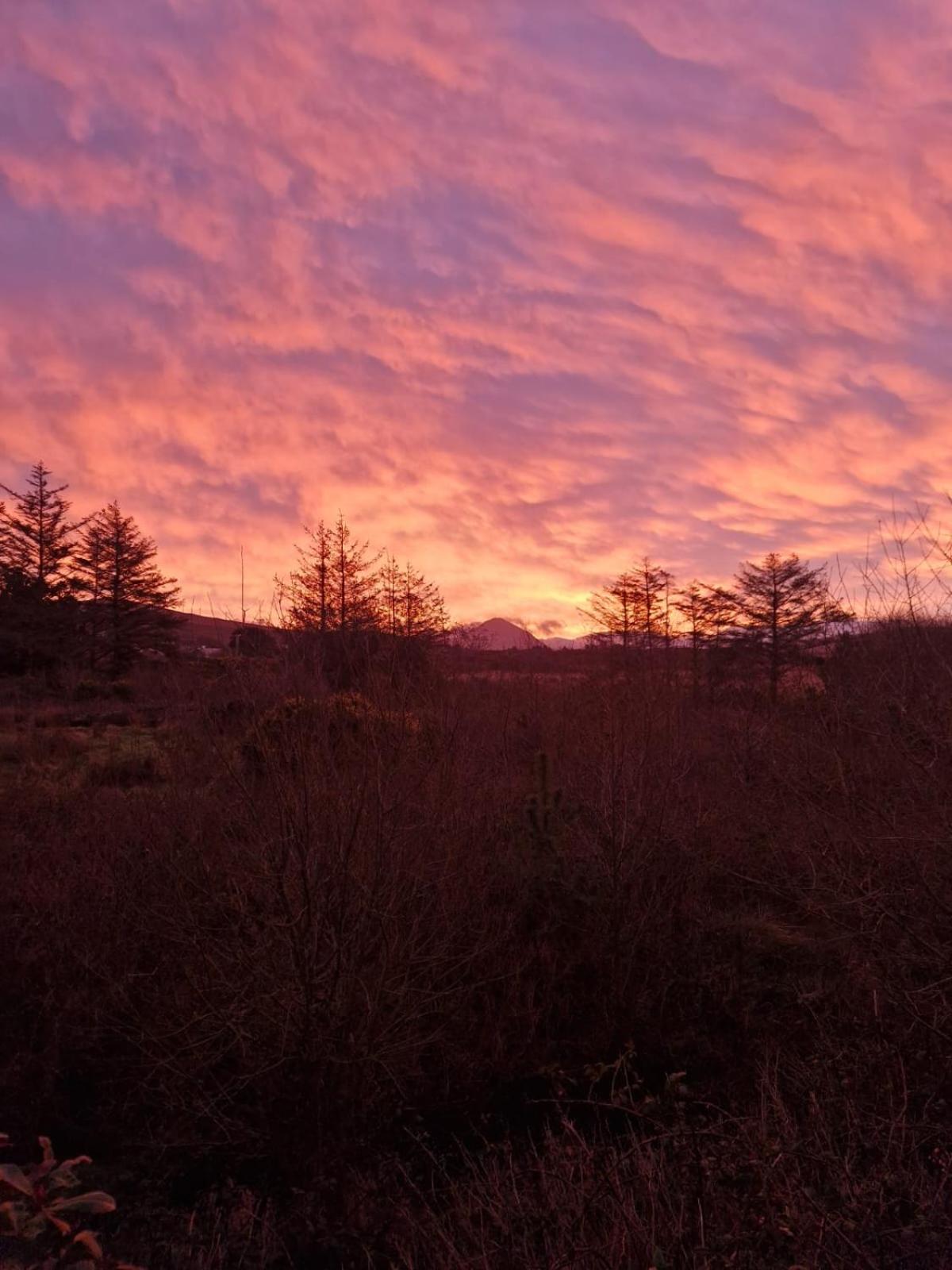 River Cottage Donegal