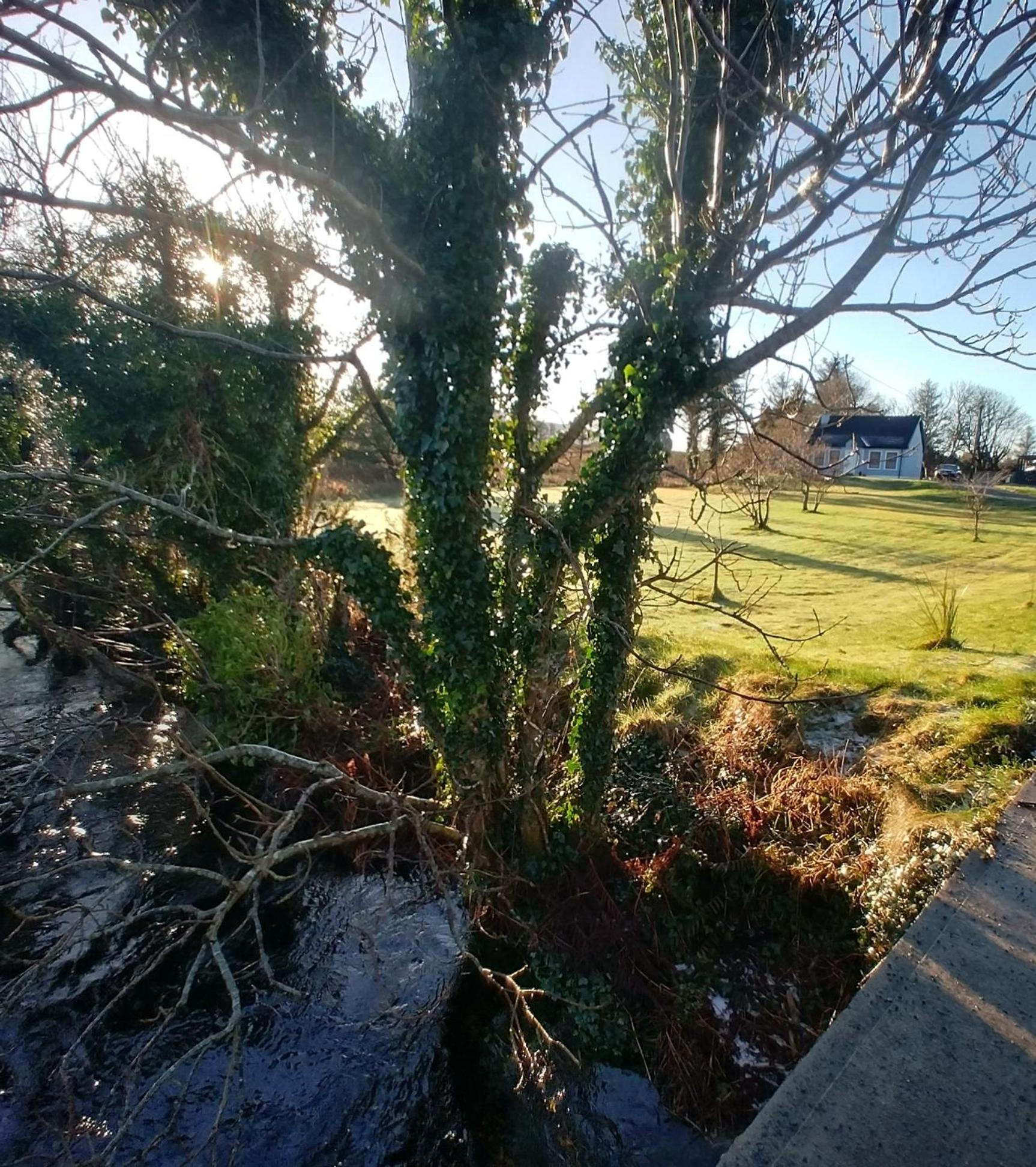 River Cottage Donegal