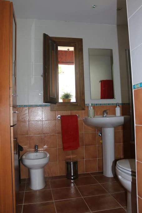 Photo 24