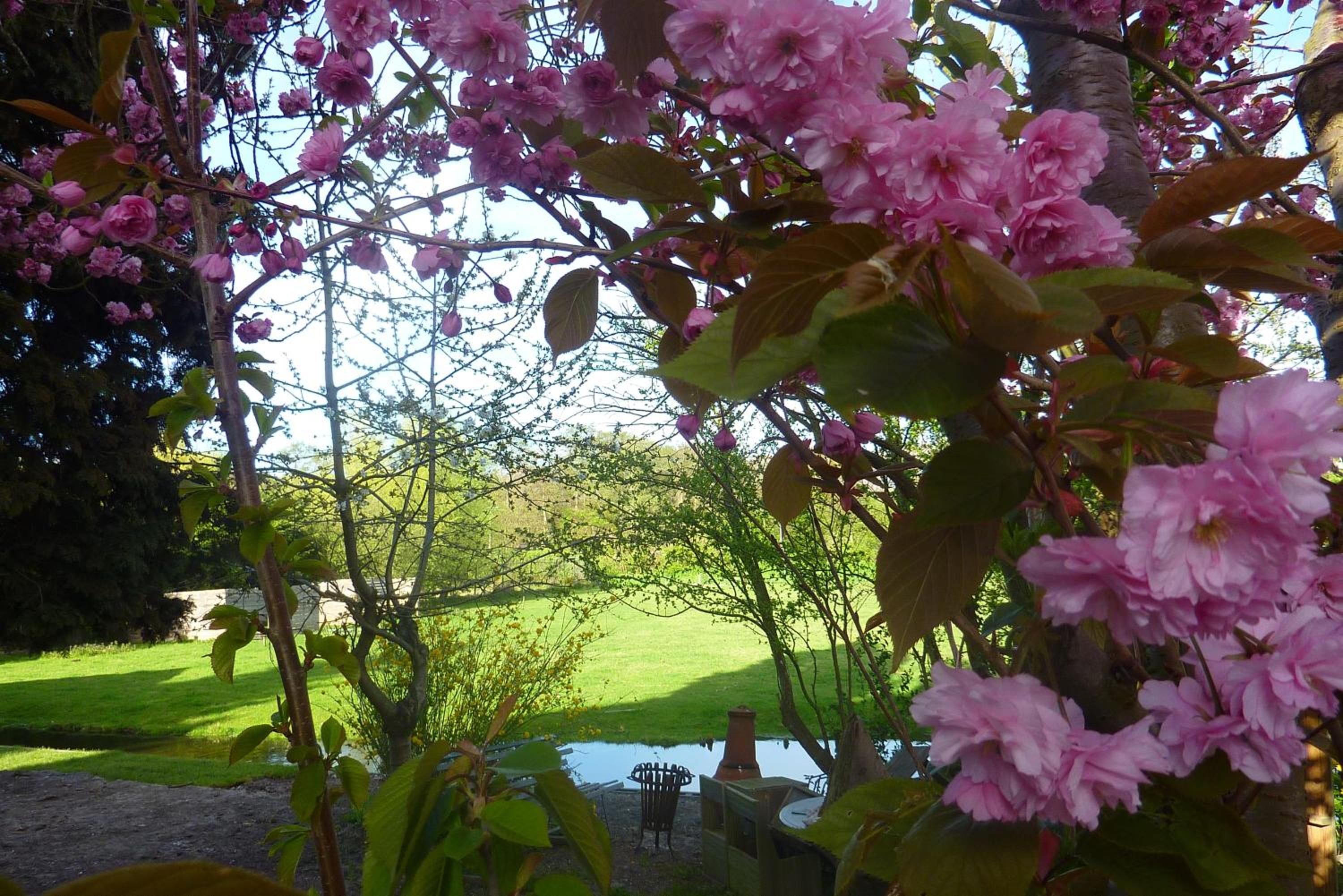 B&B BLoom
