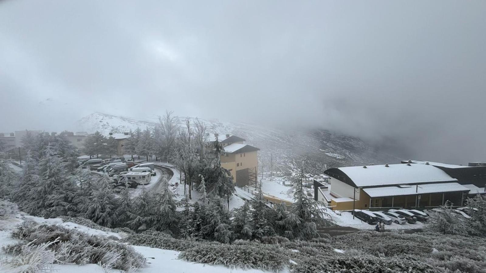 Biznaga Nevada