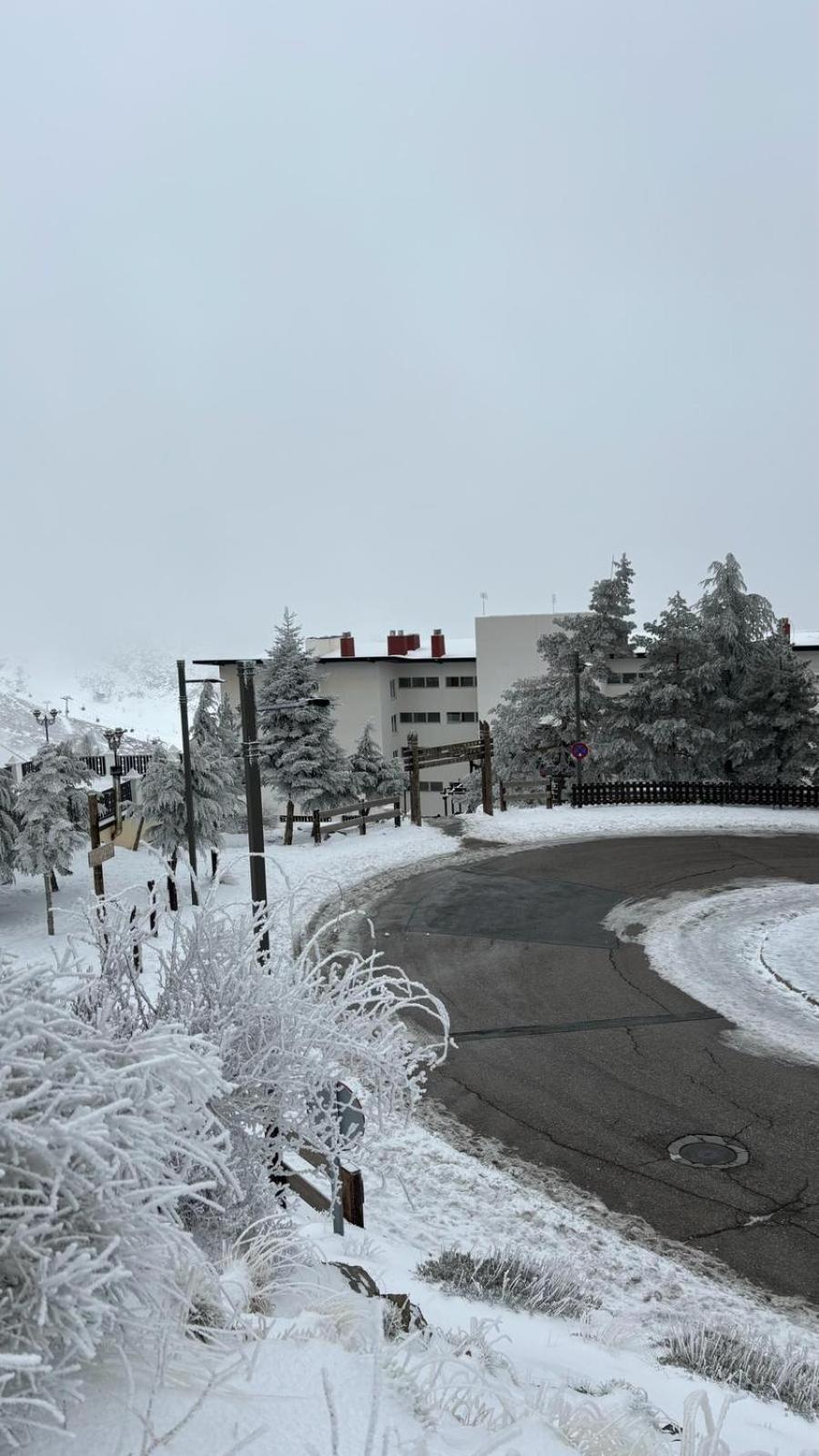 Biznaga Nevada