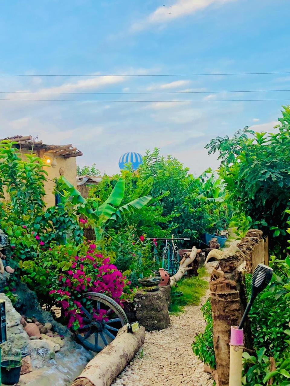 Bedouin Lodge Luxor