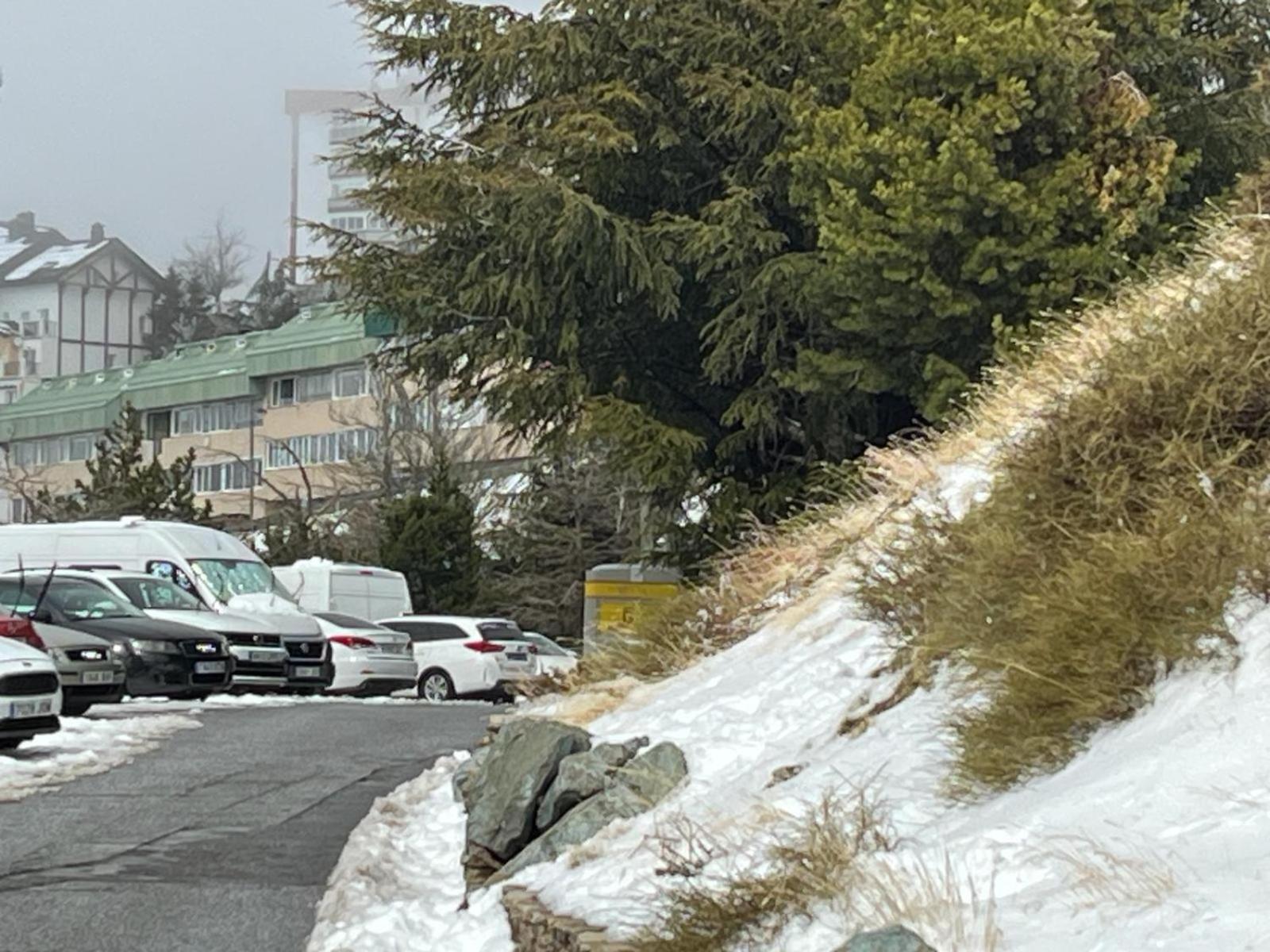 Biznaga Nevada