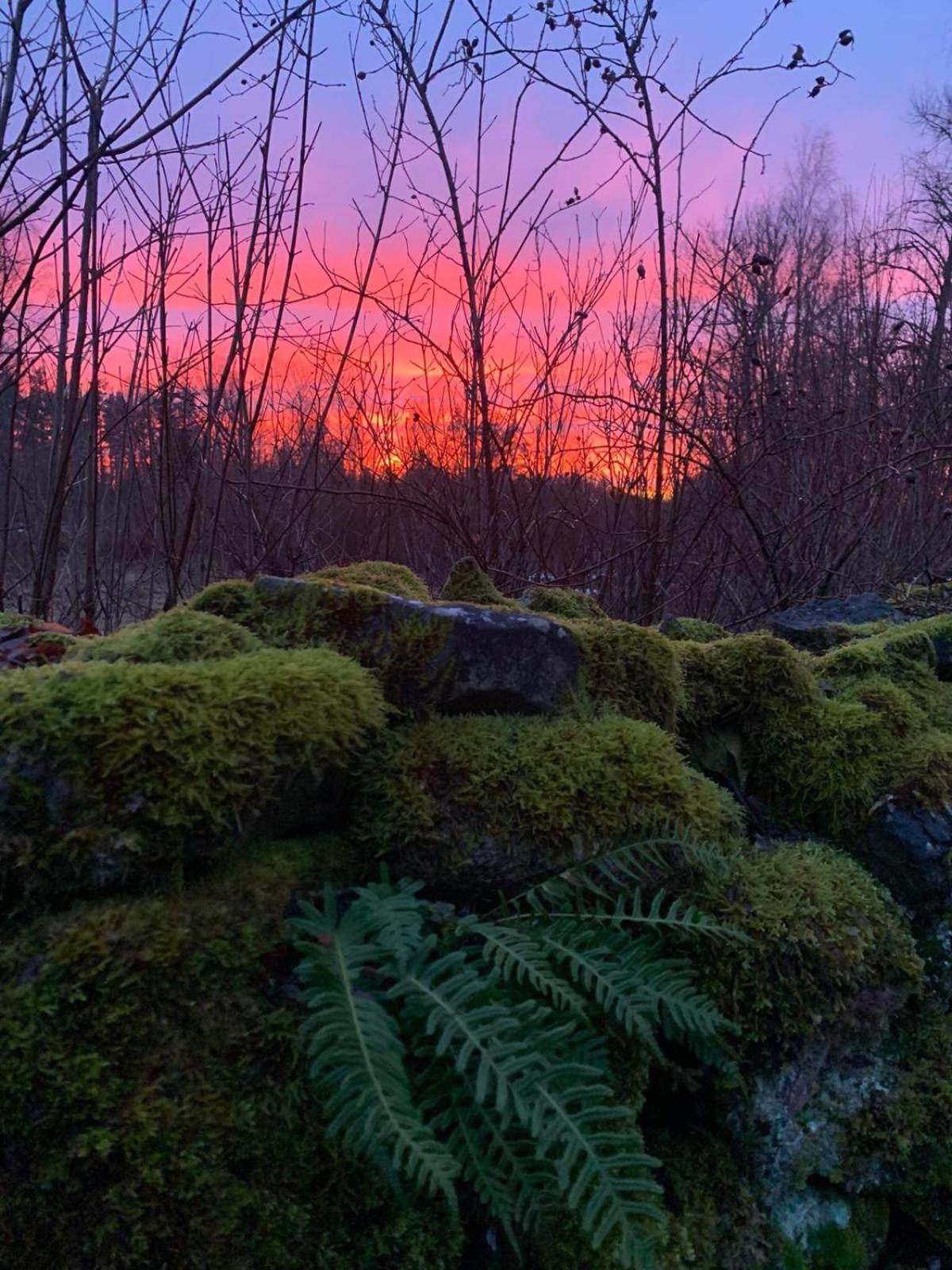 Romantiline talu Pädaste lahe ääres