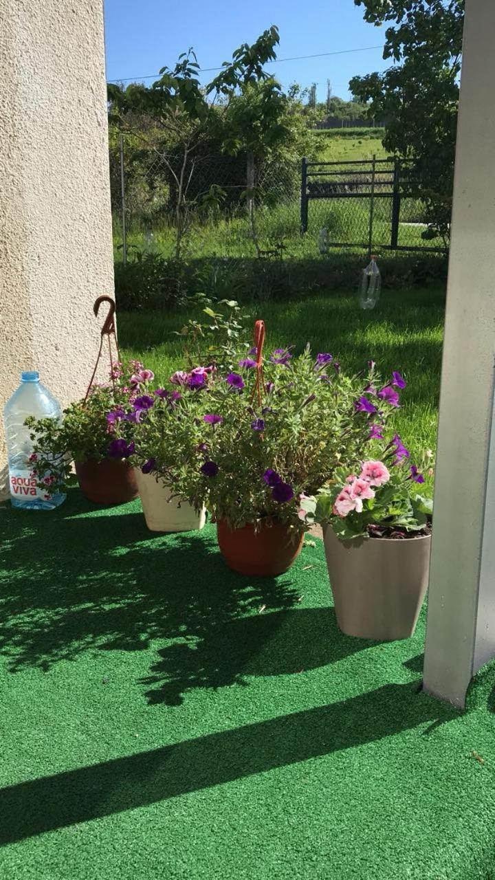 Apartmani Vlaška