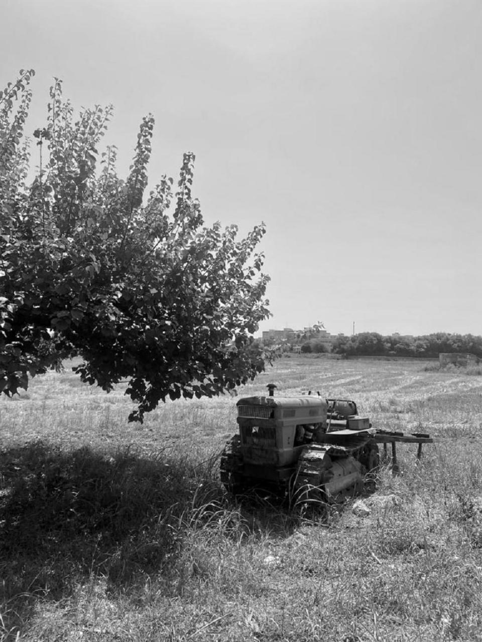 Photo 29