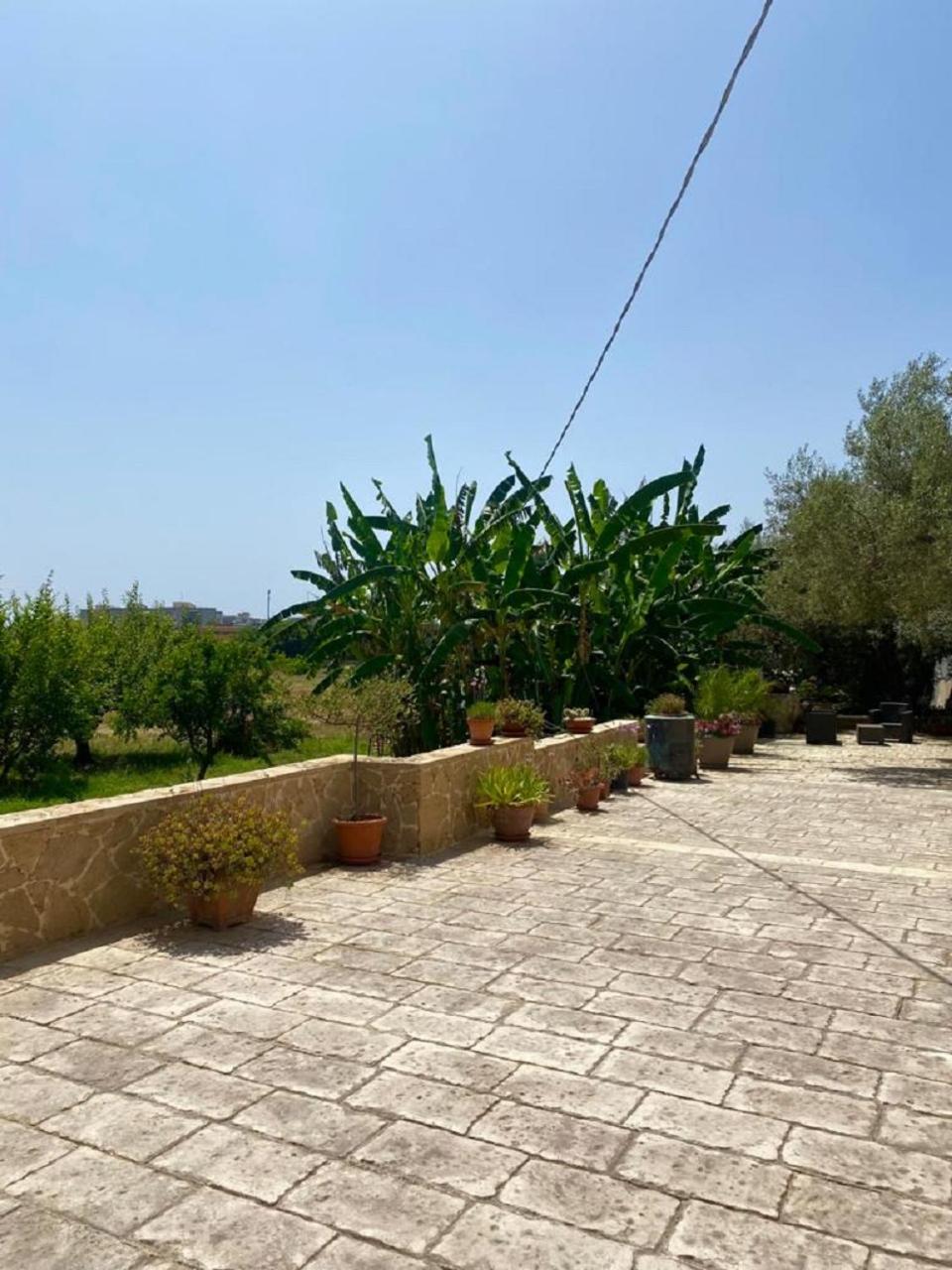 Photo 41