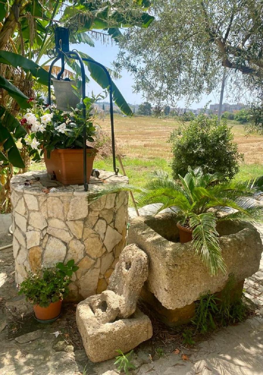 Photo 42