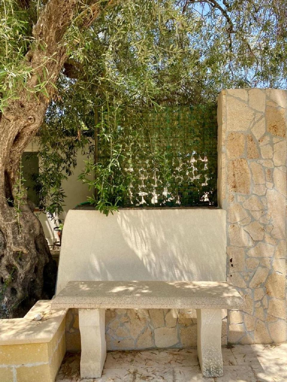 Photo 43