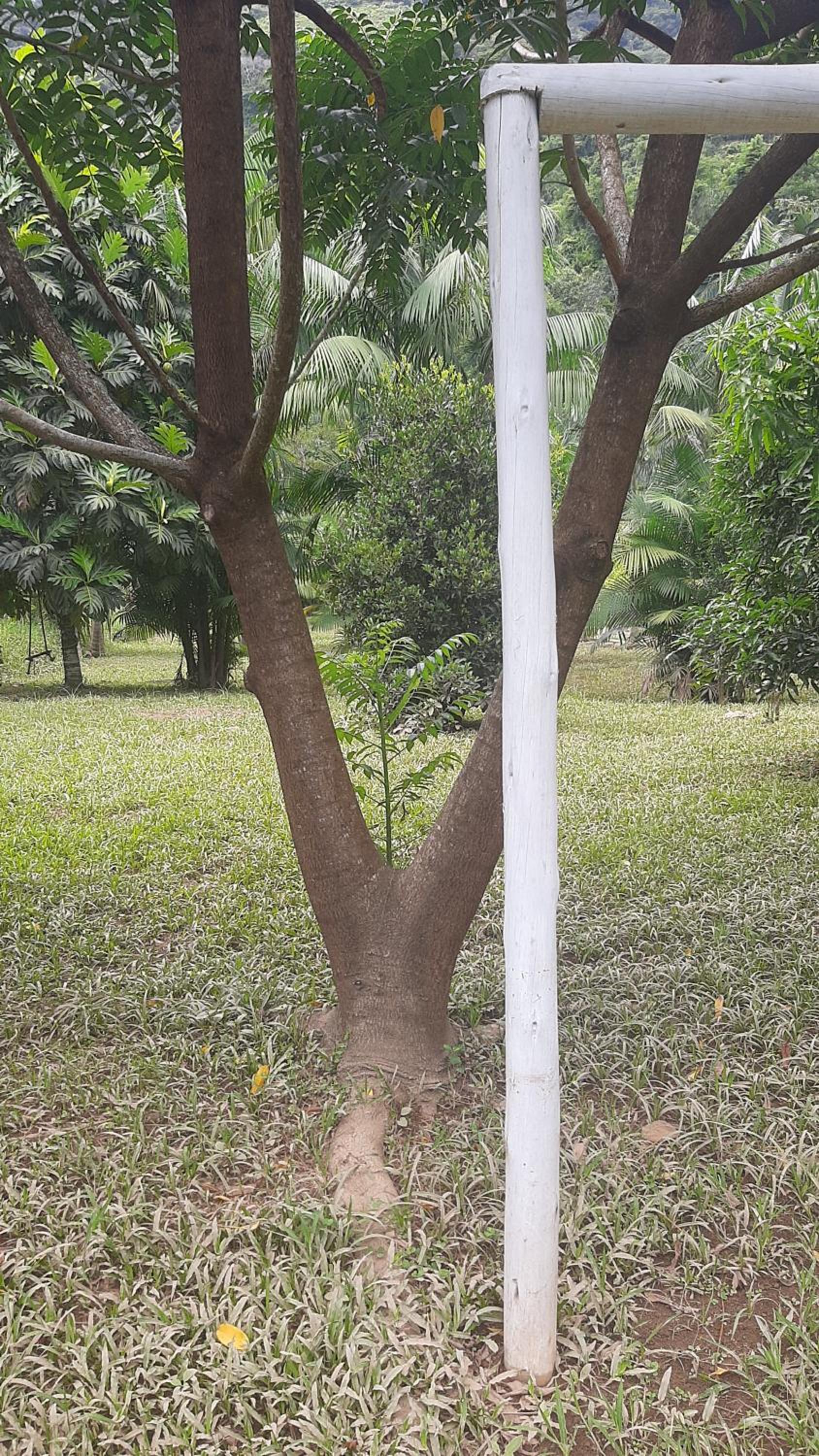 Rancho Esperança, pouso e comida a lenha