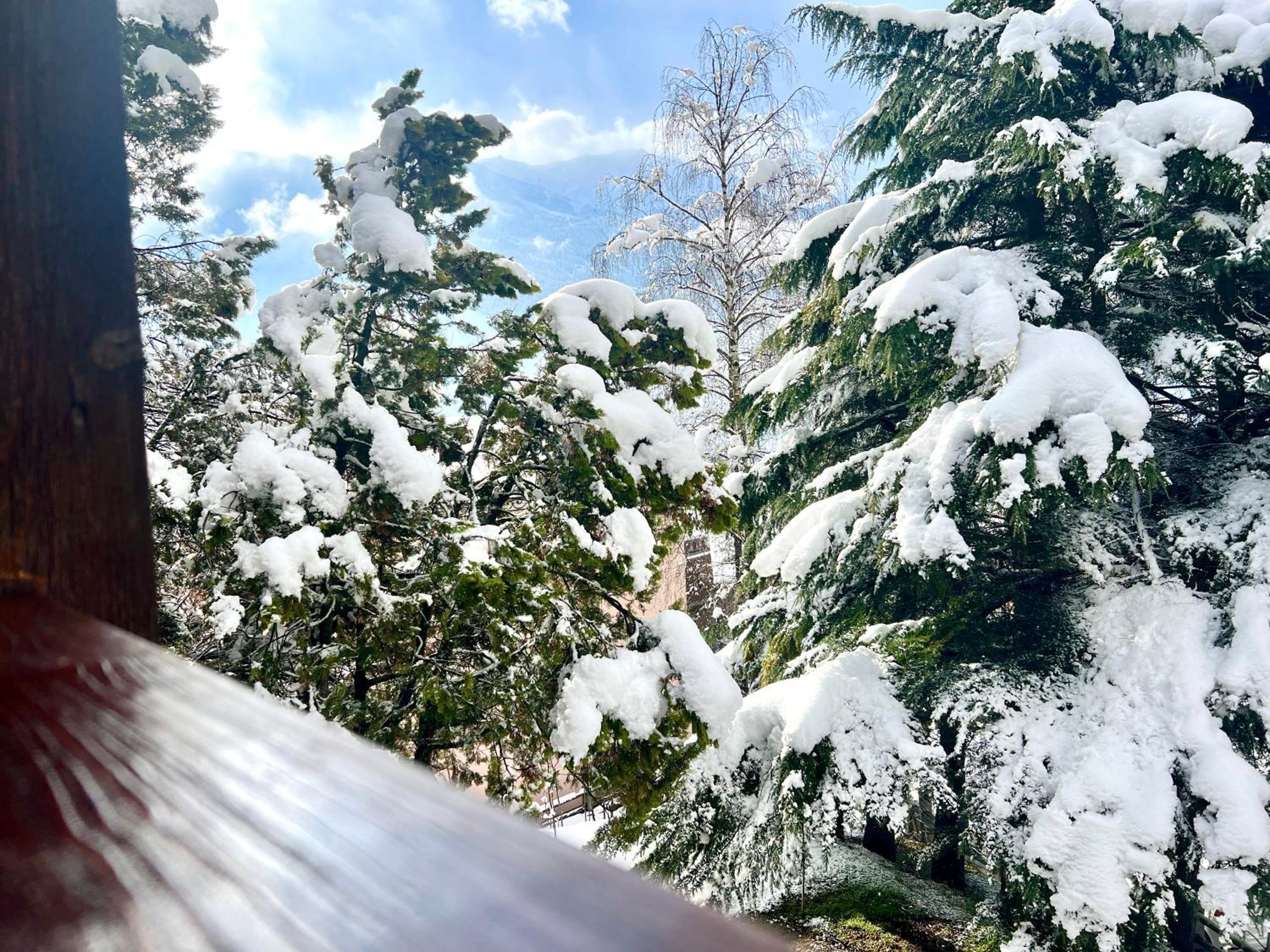 Chalet Bormio Terme view 3