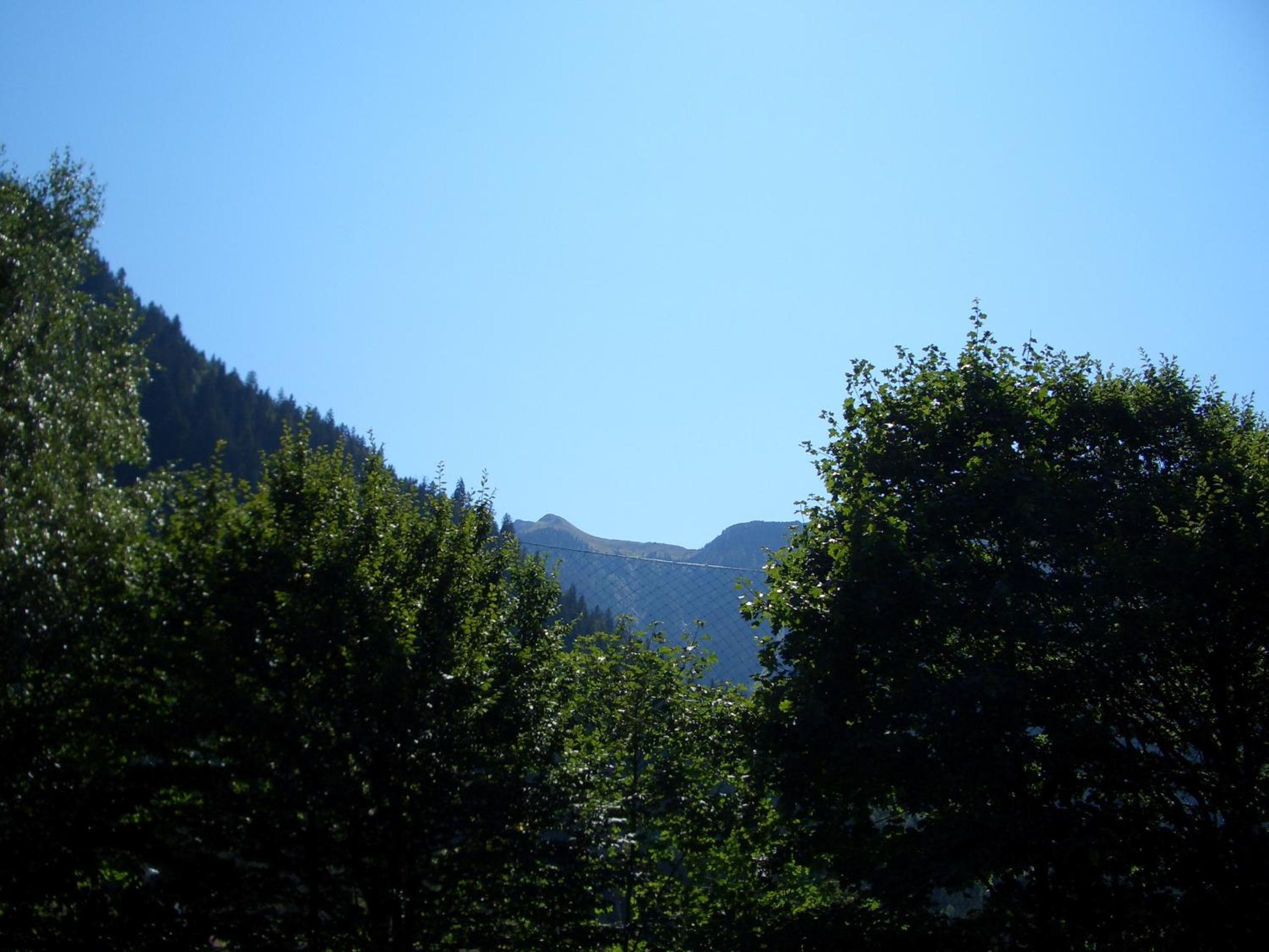 Photo 30