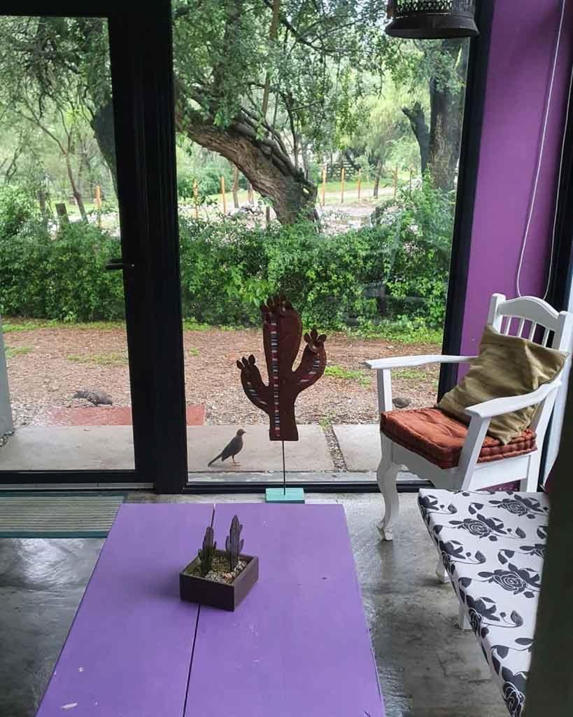 ASM CASA I